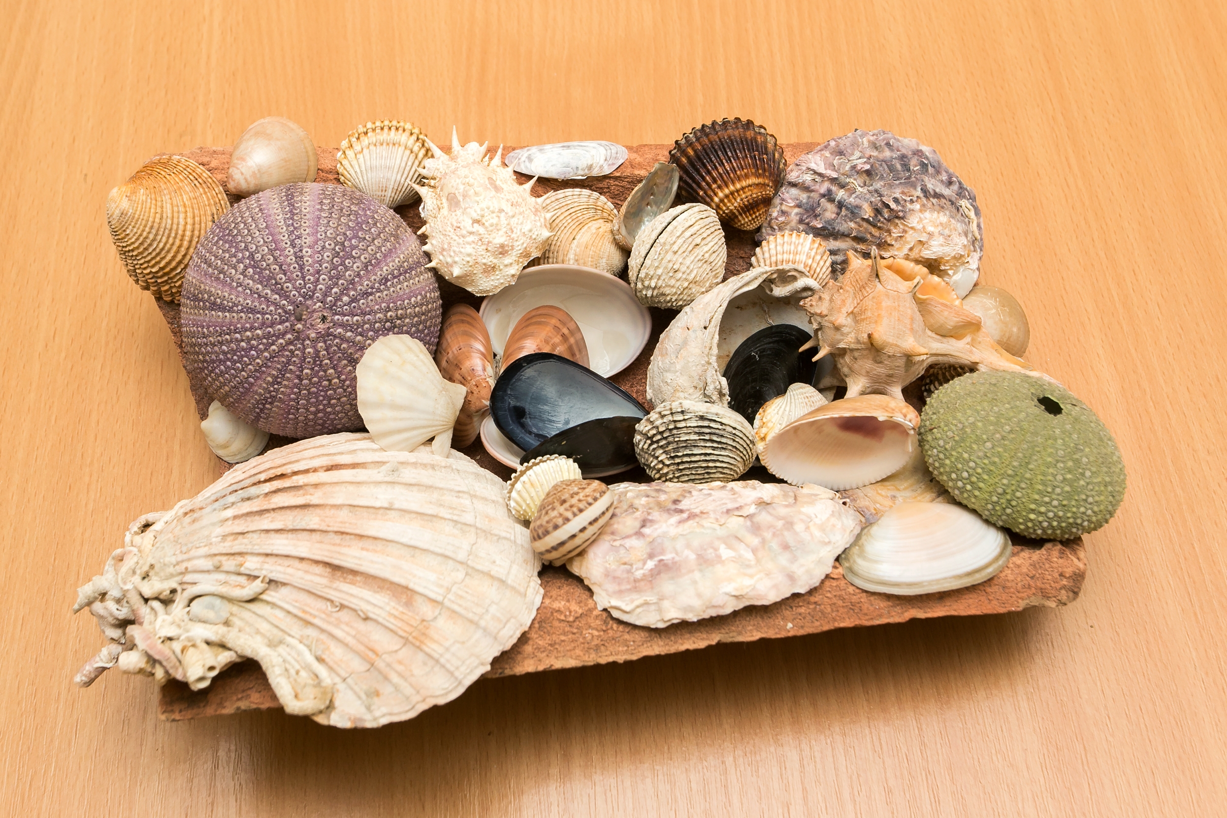 Top Dubrovnik Top Dubrovnik