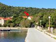 Slano, Dubrovnik, Property 8608 - Apartments near sea with pebble beach.