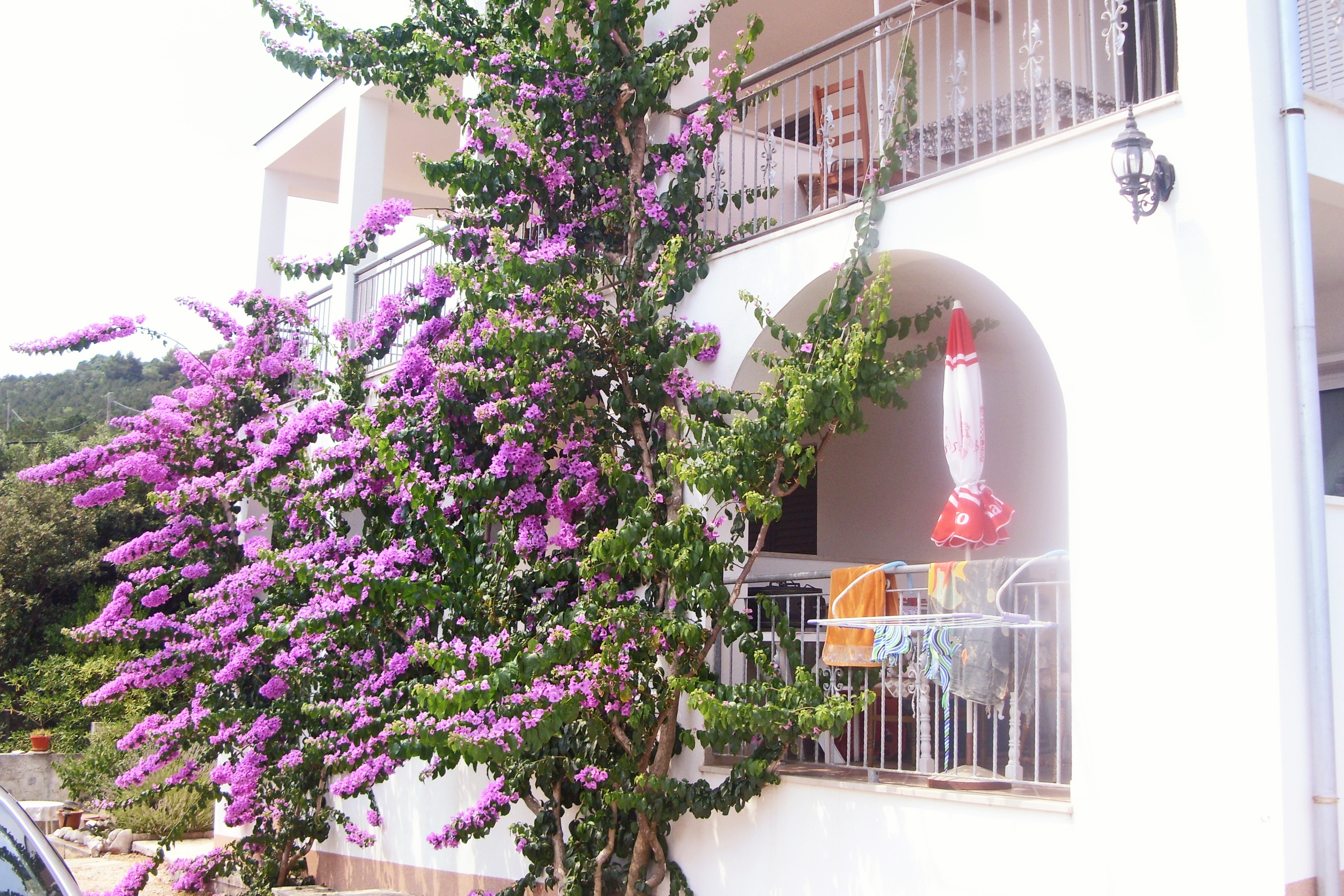 Studio flat near beach Cove Pokrivenik (Hvar) (AS-8673-b)