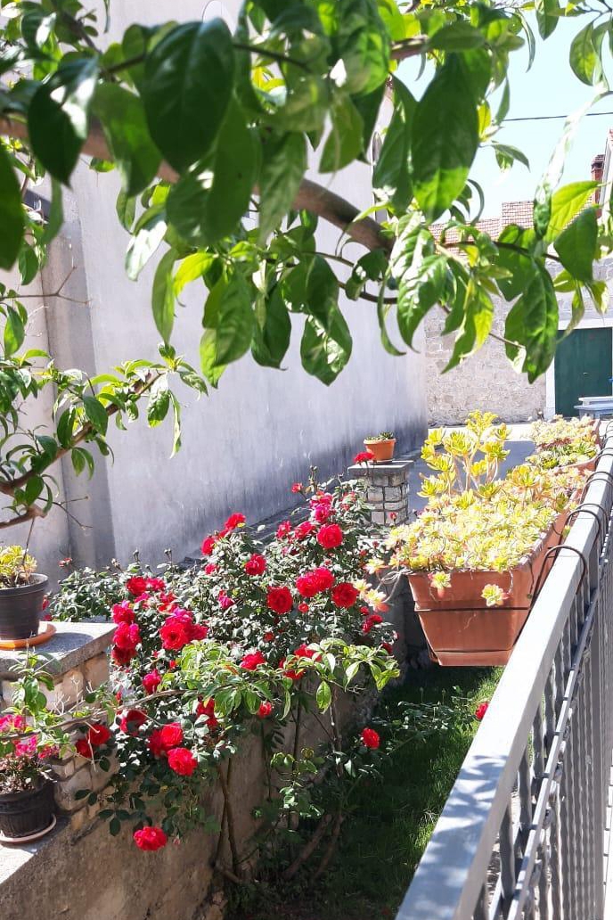 Three bedroom house with terrace Pašman  K