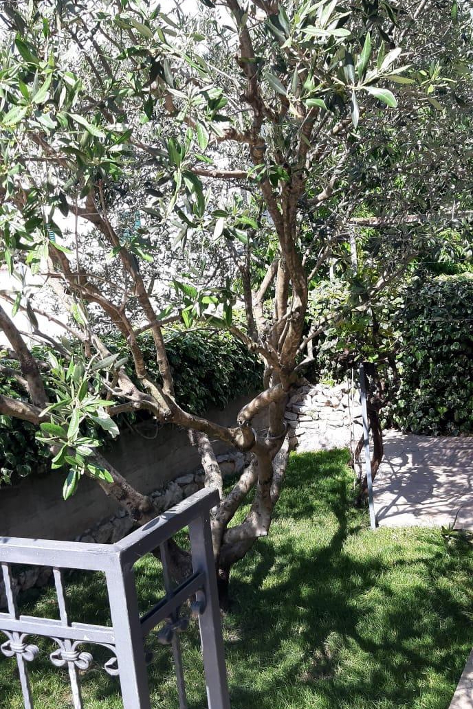 Three bedroom house with terrace Pašman  K