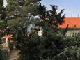 Shared terrace - view Ivan Dolac, Shared terrace - view in the apartment, (pet friendly) and WiFi.