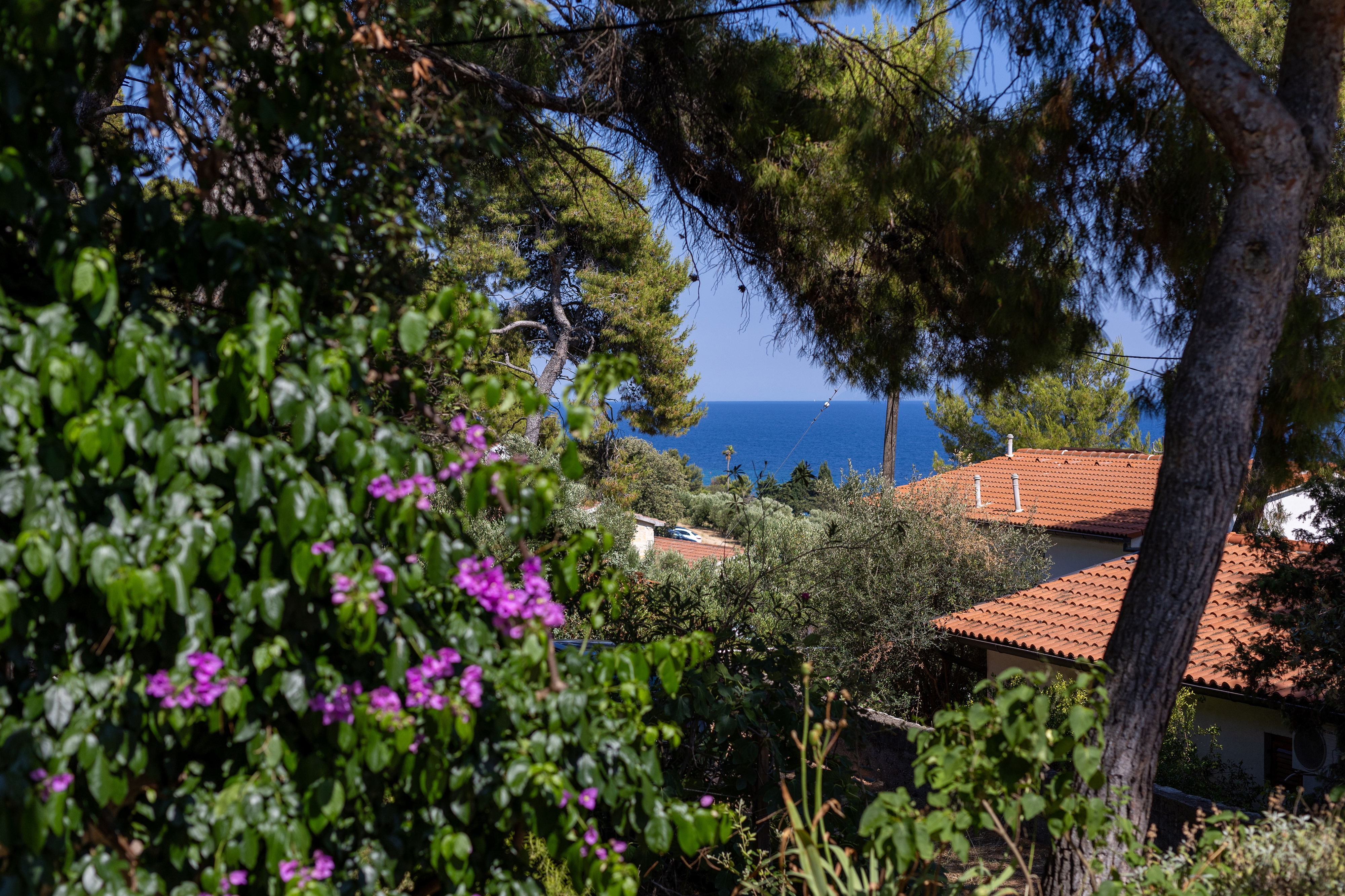 Two bedroom apartment with terrace and sea view Zavala, Hvar (A-8710-b) Two bedroom apartment with terrace and sea view Zavala, Hvar (A-8710-b)