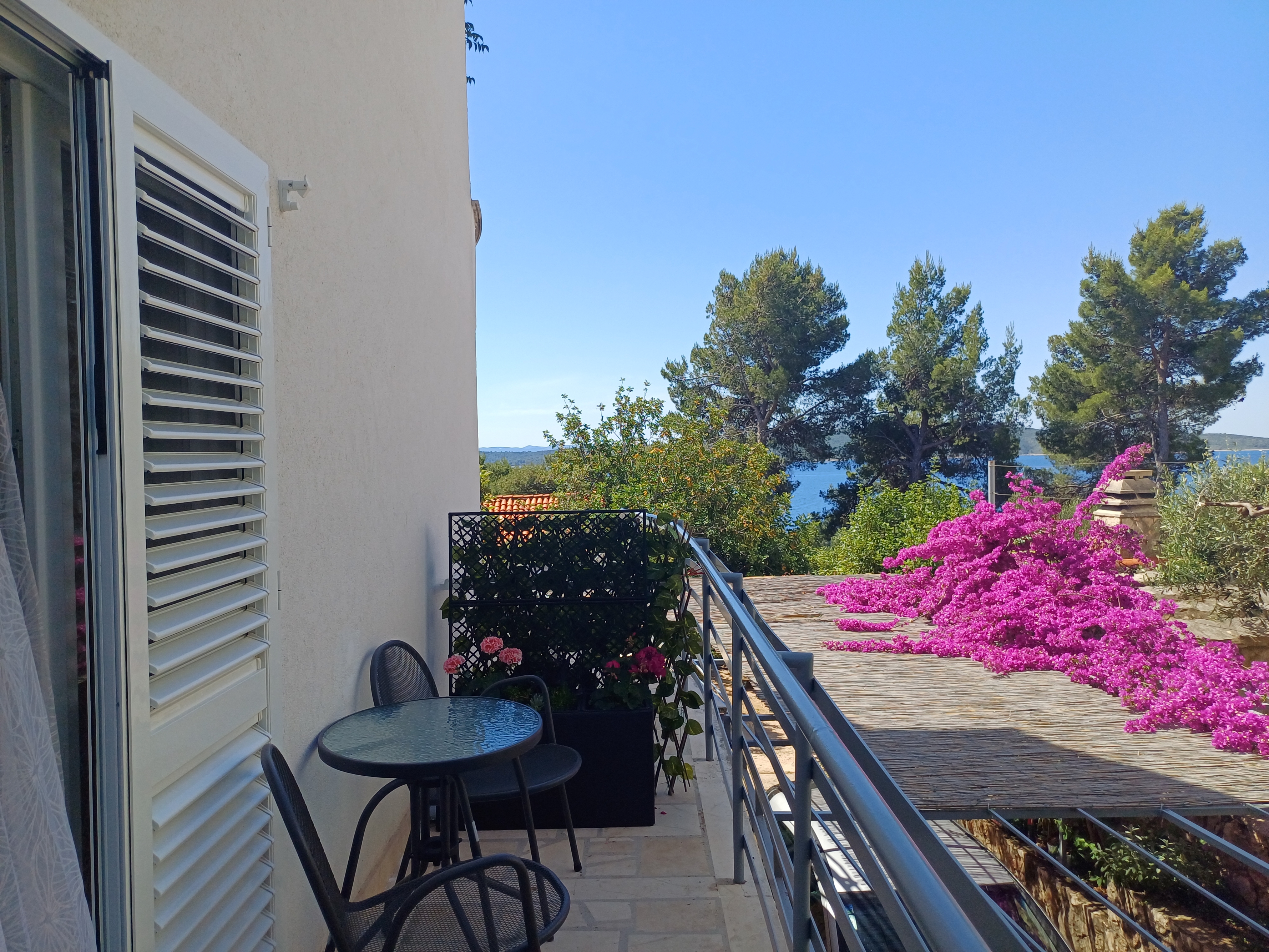 Studio flat with terrace and sea view Zavala, Hvar (AS-8710-a)