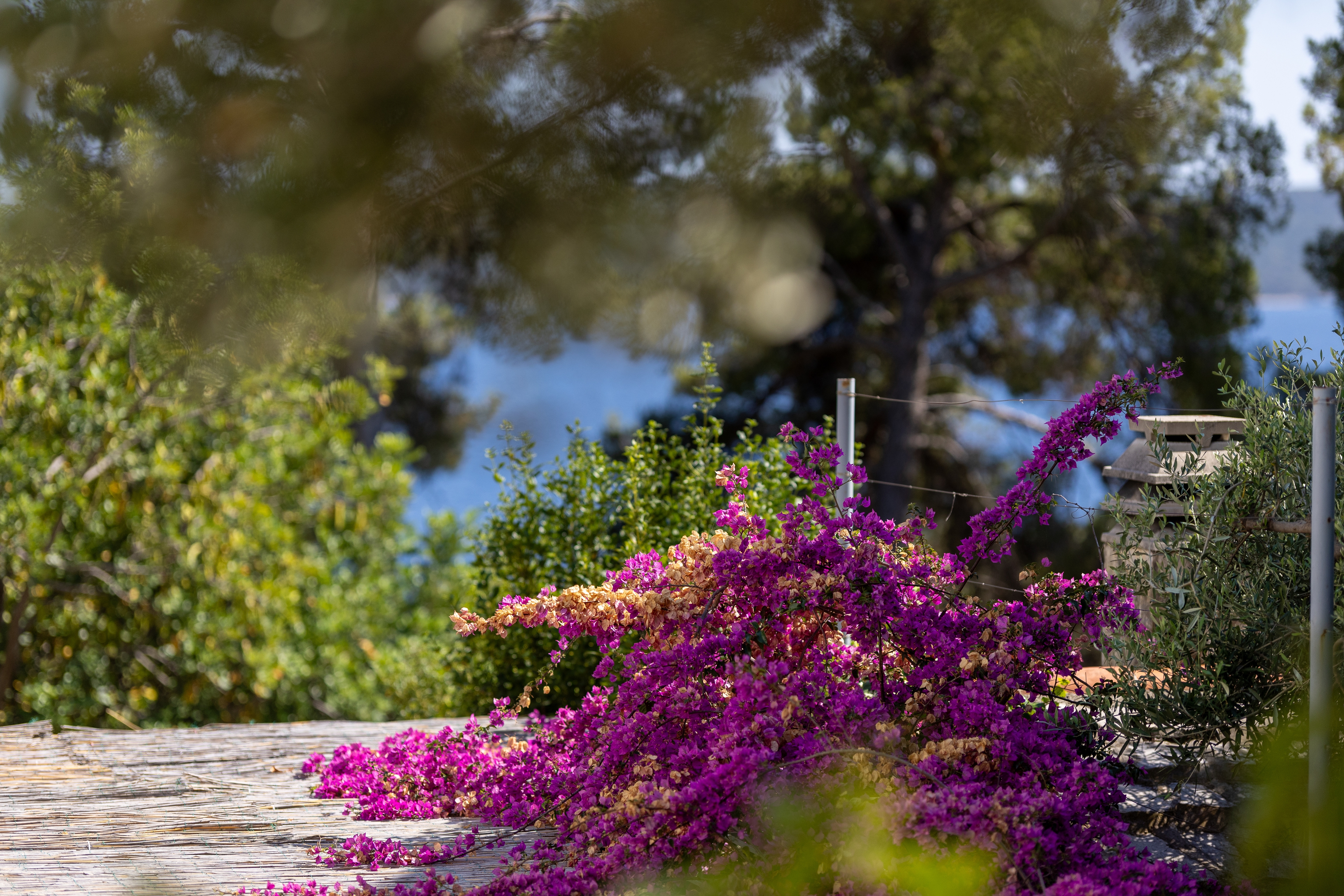 Studio flat with terrace Zavala, Hvar  AS-a