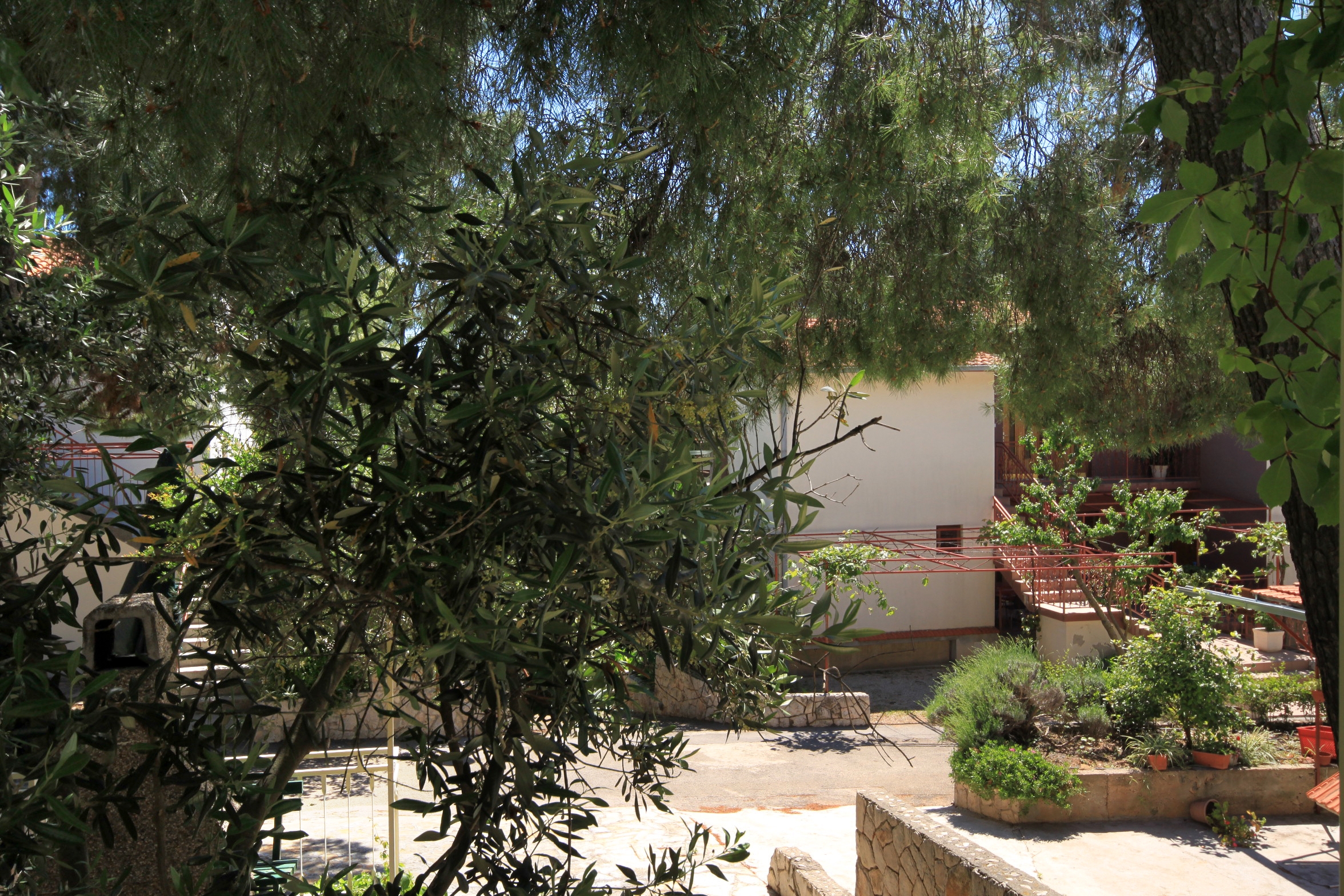 Top Hvar Ivan Dolac Top Hvar Ivan Dolac