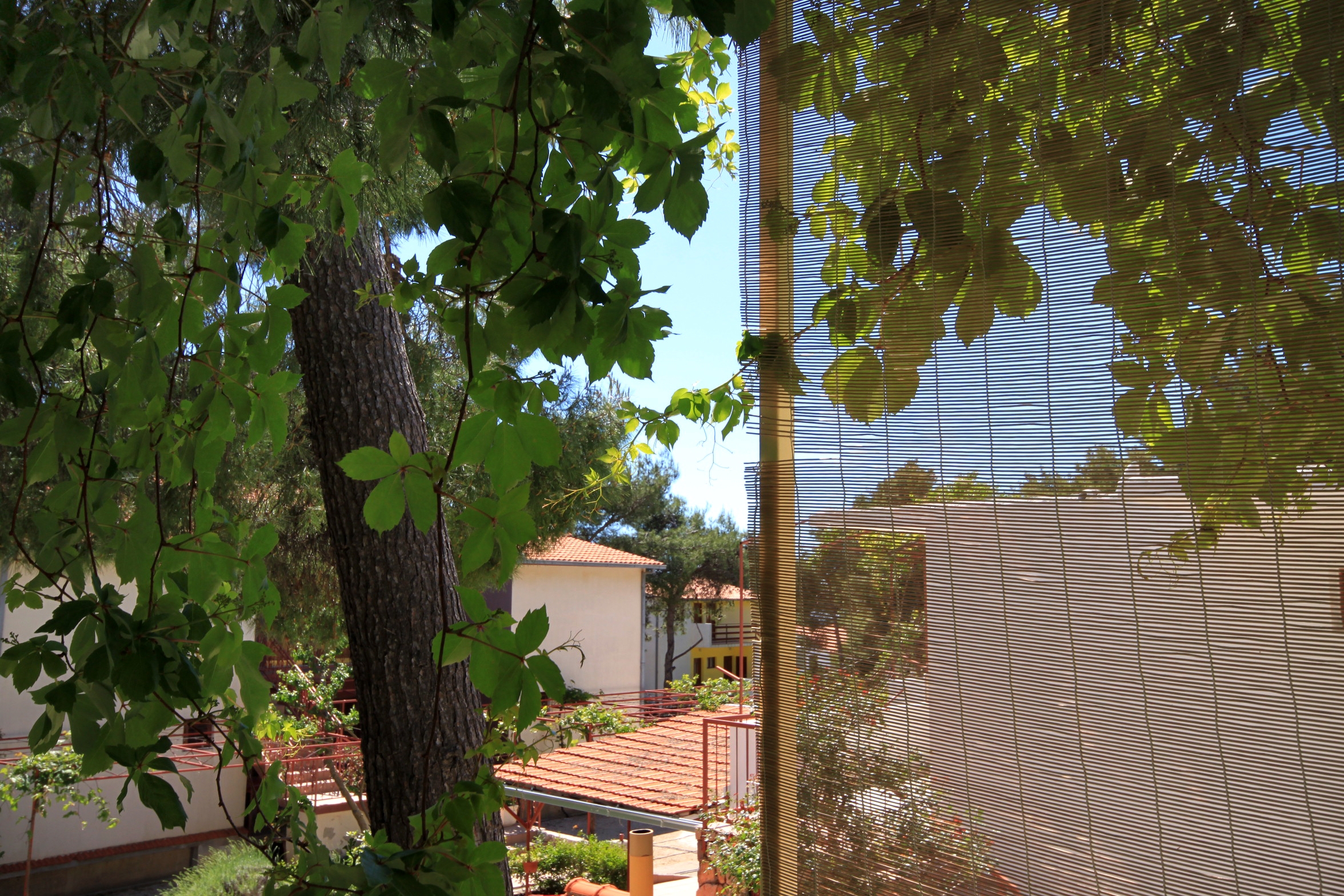 Two bedroom apartment with terrace Ivan Dolac, Hvar  A-d