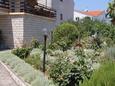 Sali, Dugi otok, Courtyard 872 - Apartments in Croatia.