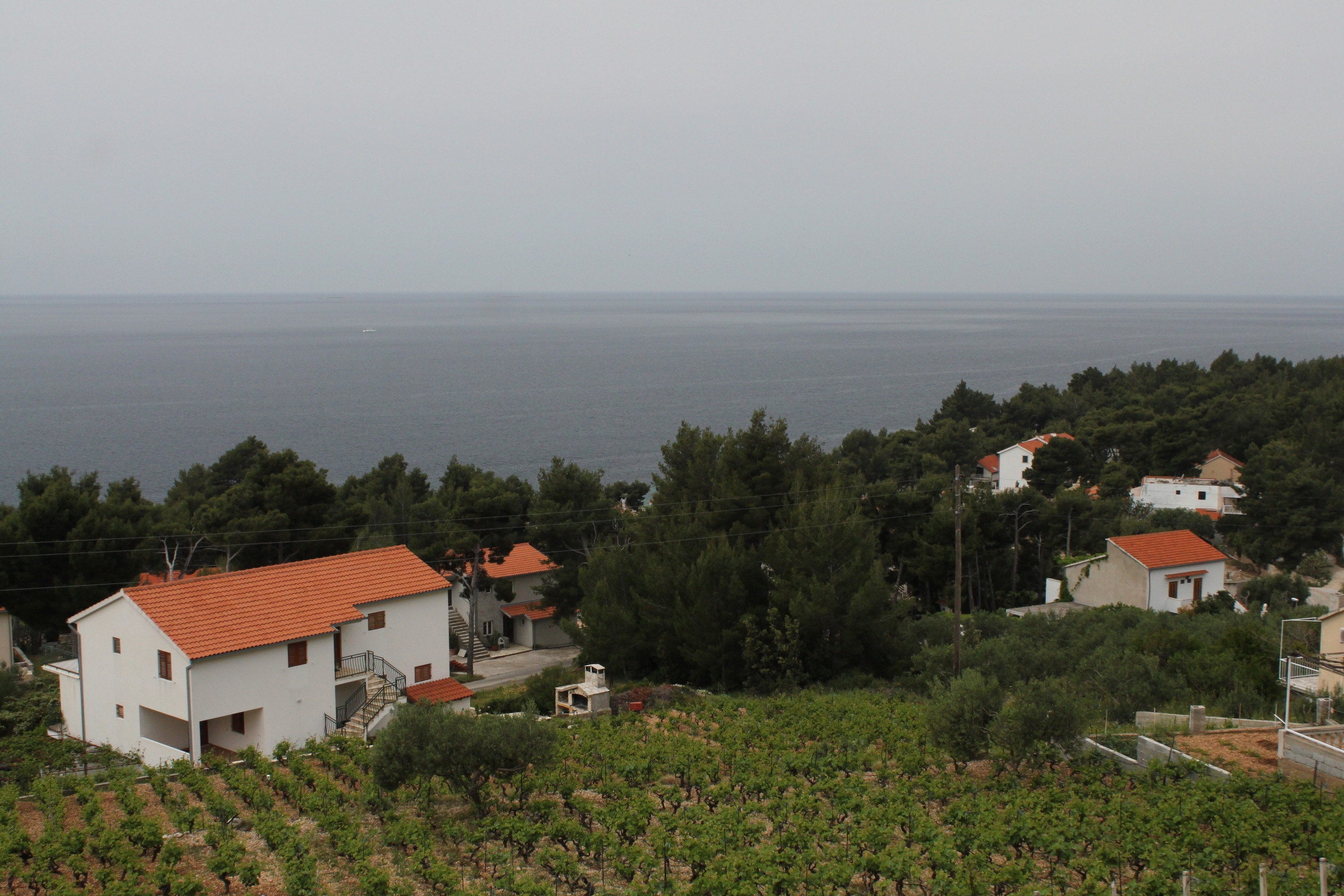 Top Hvar Ivan Dolac Top Hvar Ivan Dolac