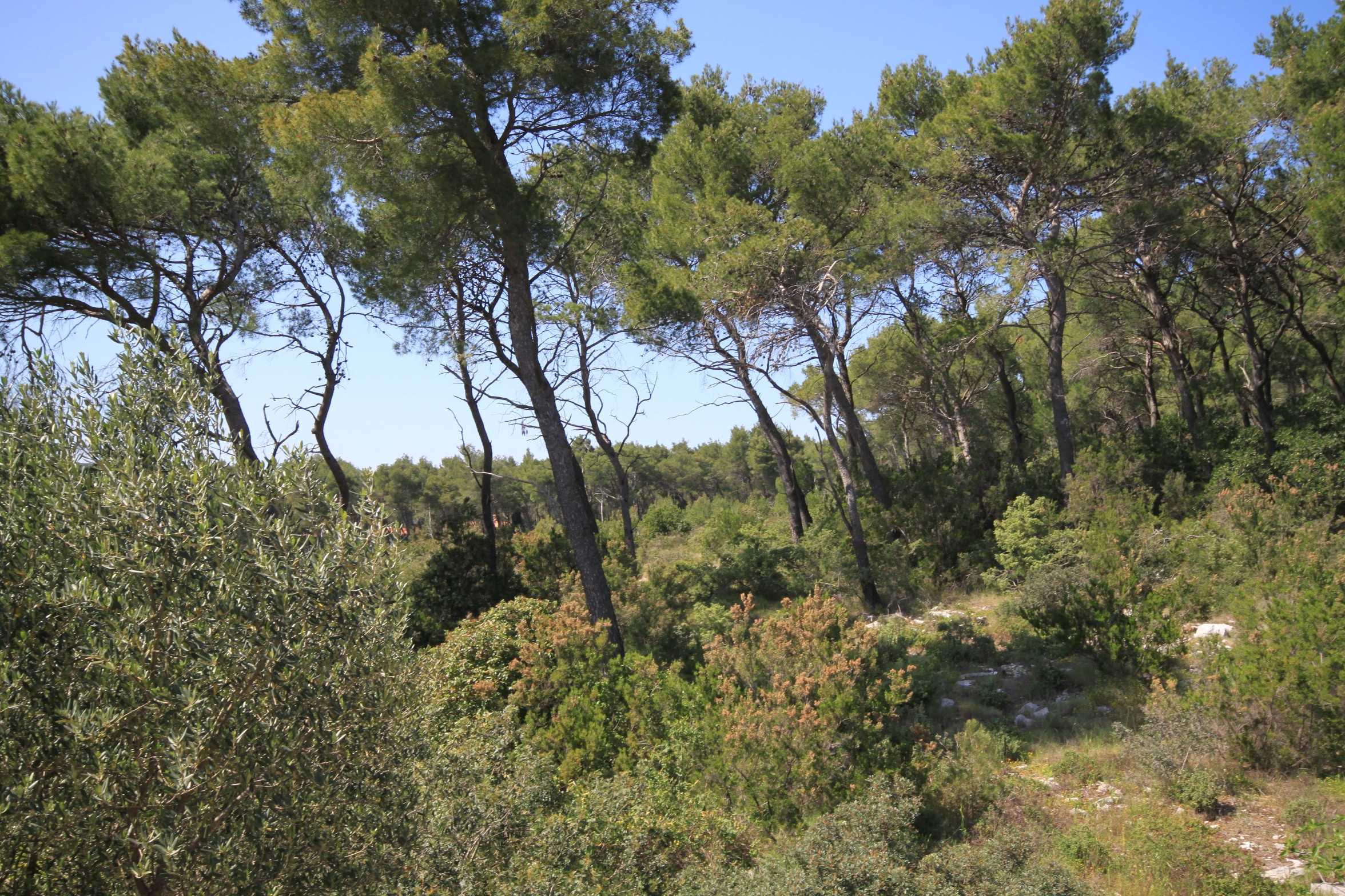 Two bedroom apartment with balcony Vrboska, Hvar  A-a