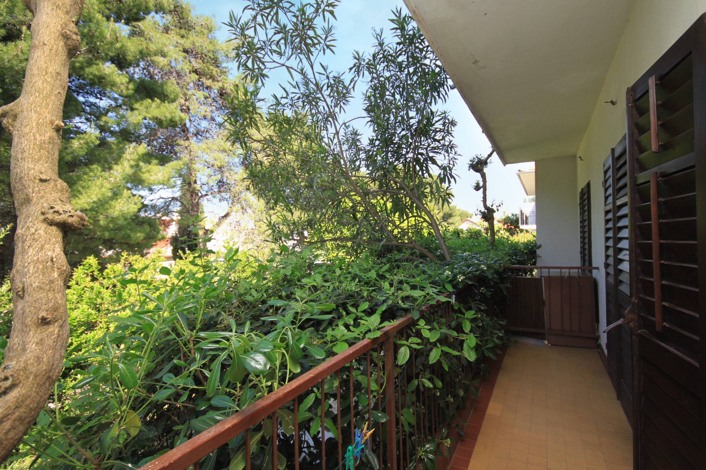 Top Hvar Jelsa Top Hvar Jelsa