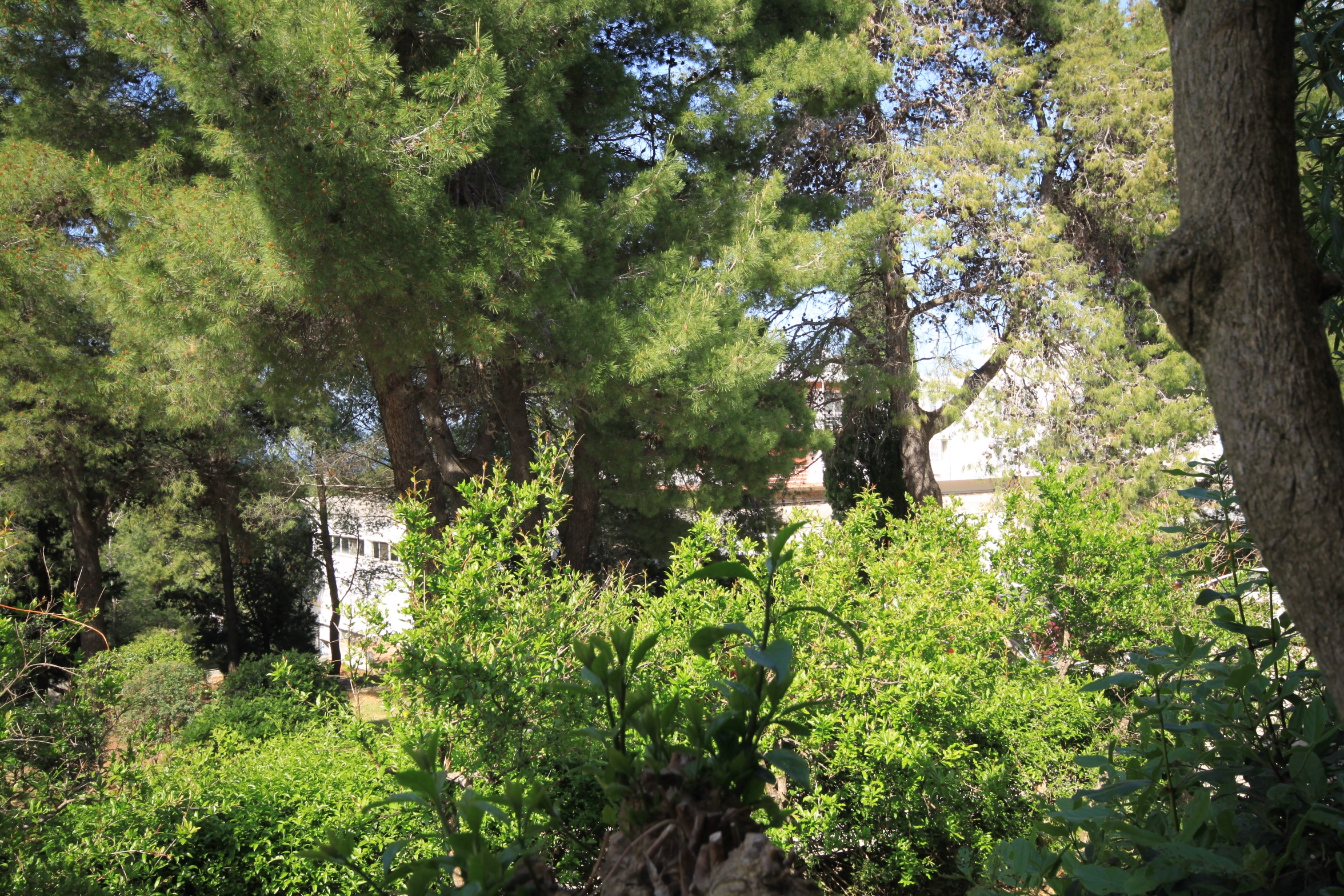 One bedroom apartment with balcony Jelsa, Hvar  A-a