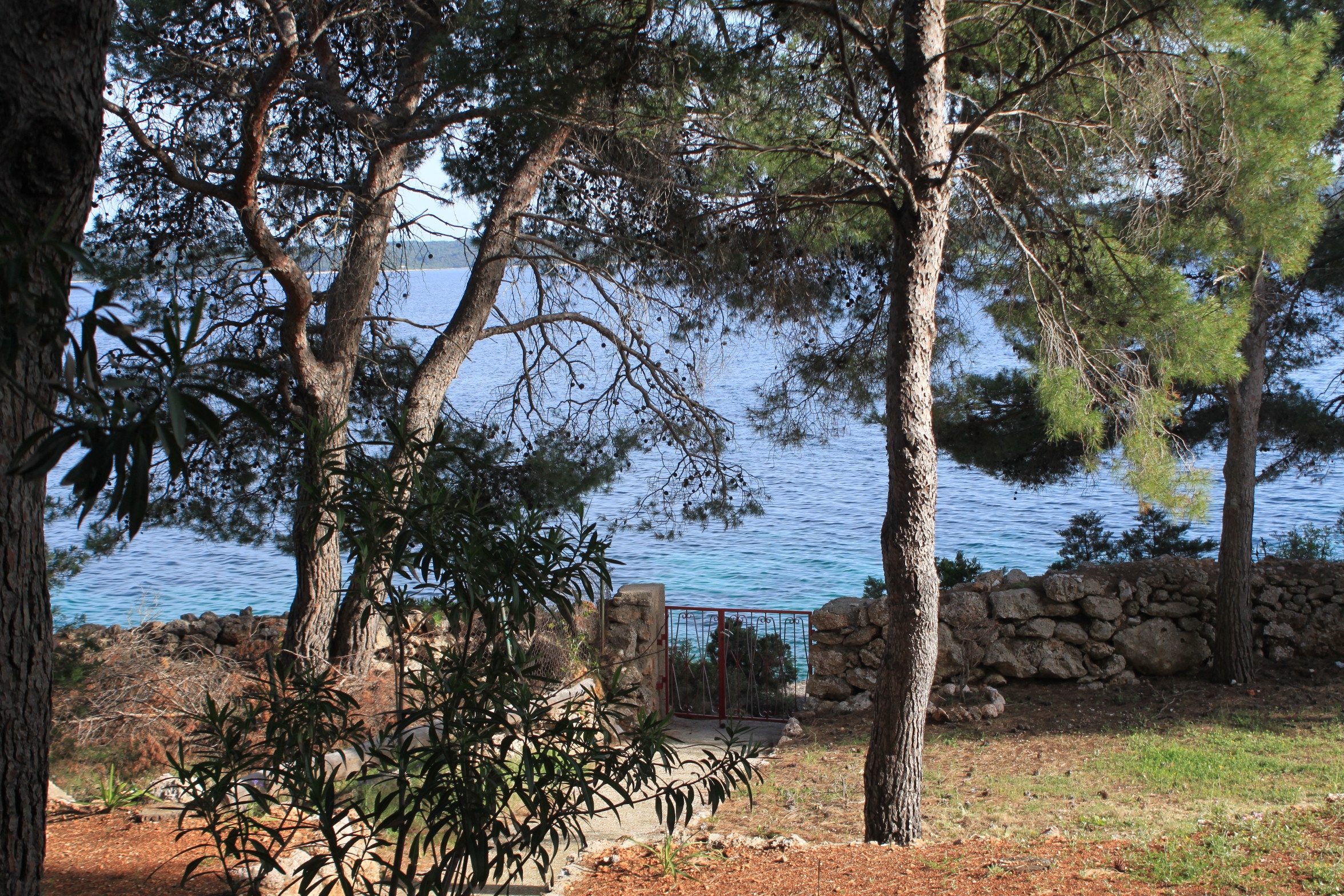 Top Hvar Zavala Top Hvar Zavala