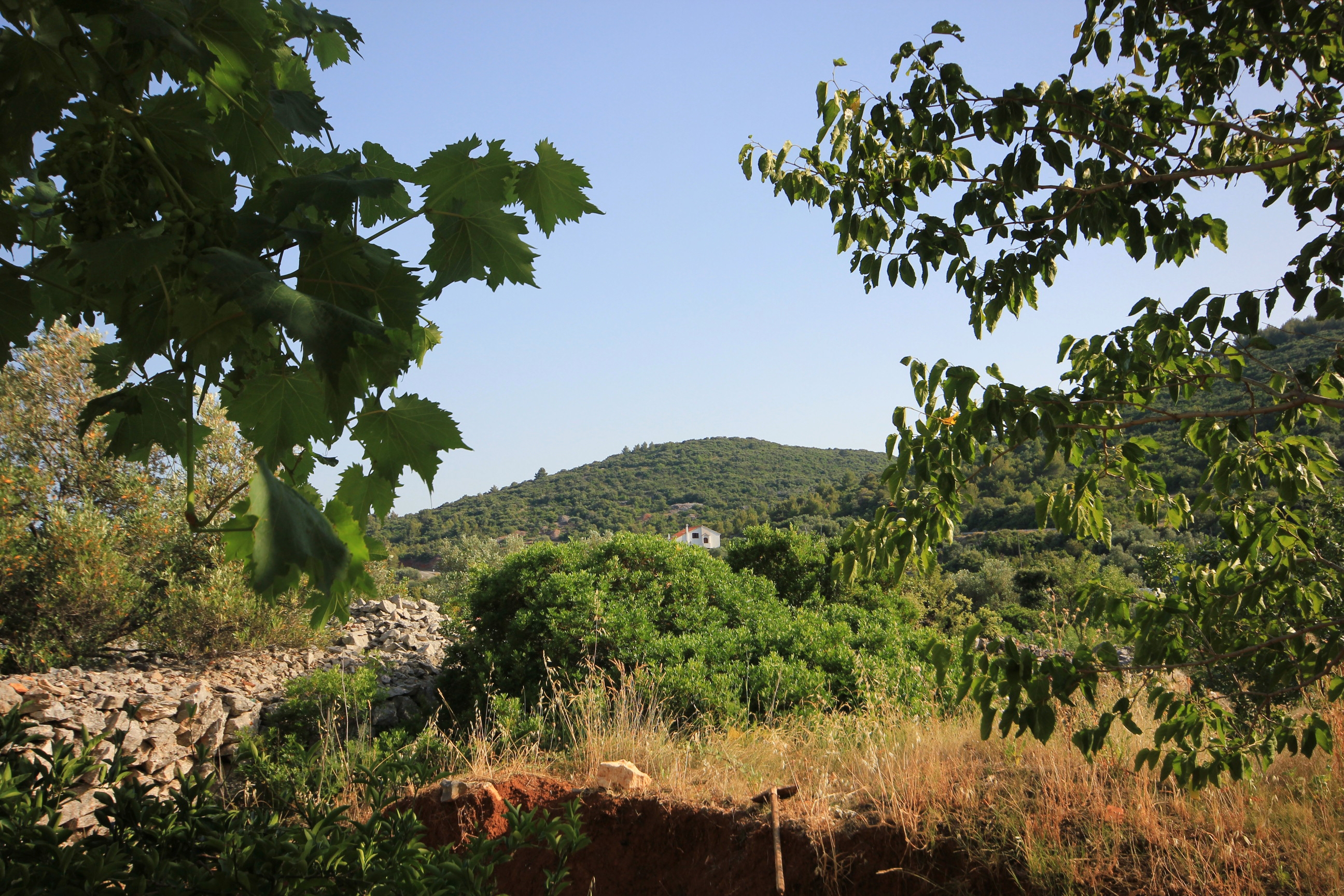 Two bedroom apartment with terrace Zaglav, Dugi otok  A-a