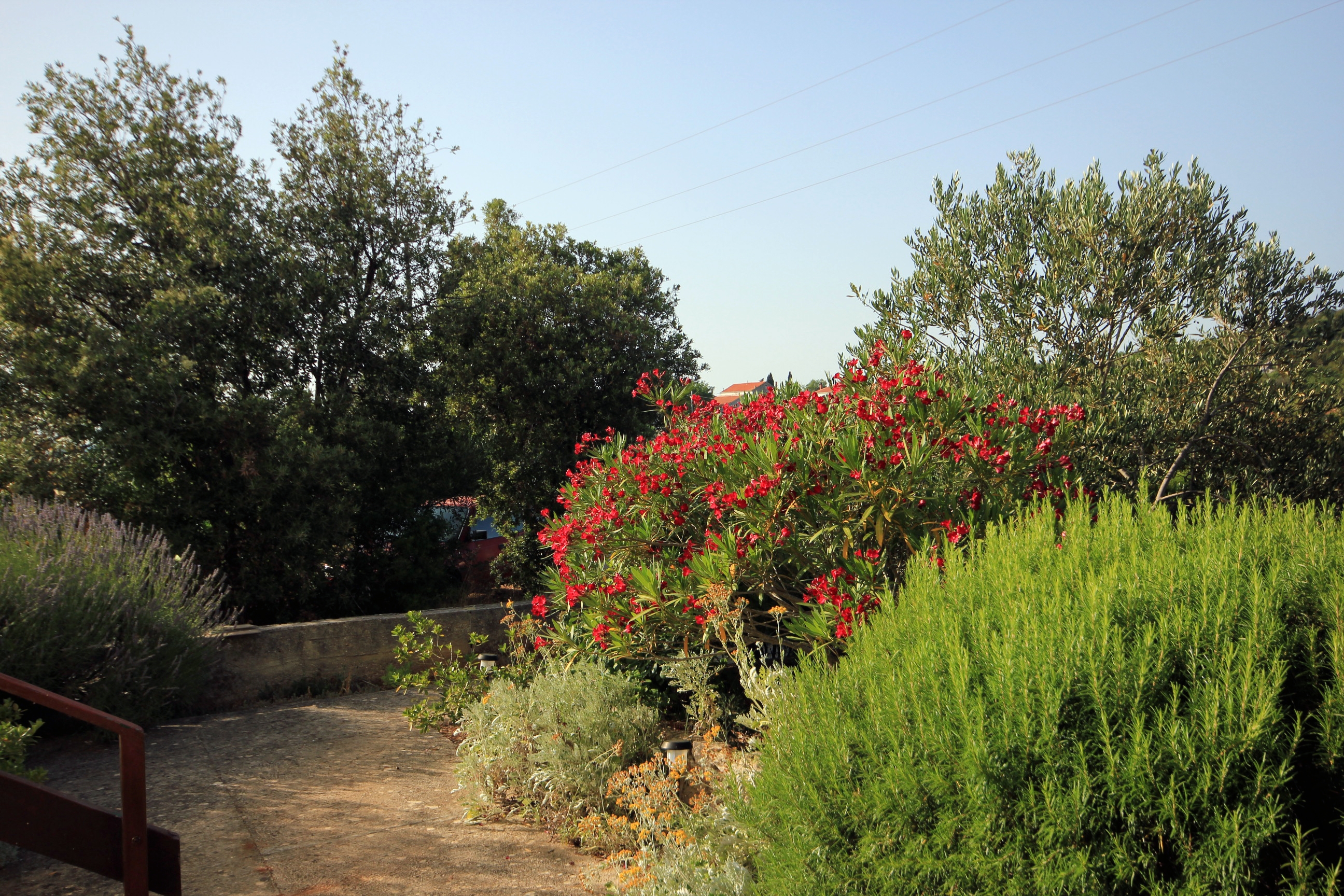 Top Dugi otok Zaglav Top Dugi otok Zaglav
