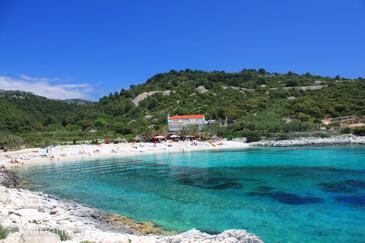 Hvar, Hvar, Hébergement 8785 - Chambres à proximité de la mer avec une plage de galets.