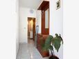 Jelsa, Hallway in the apartment, (pet friendly) and WiFi.