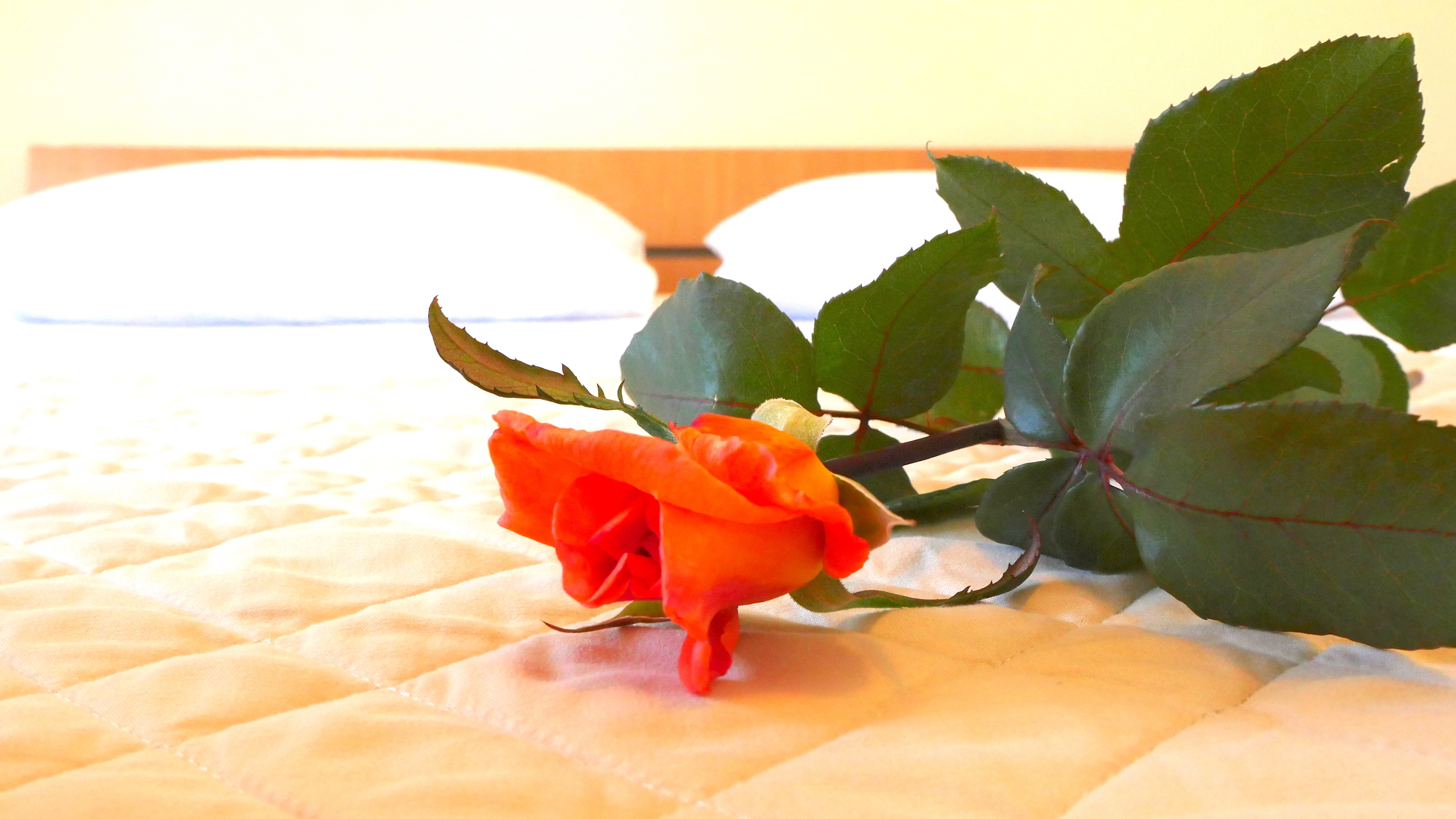 Top Vis Rukavac Top Vis Rukavac