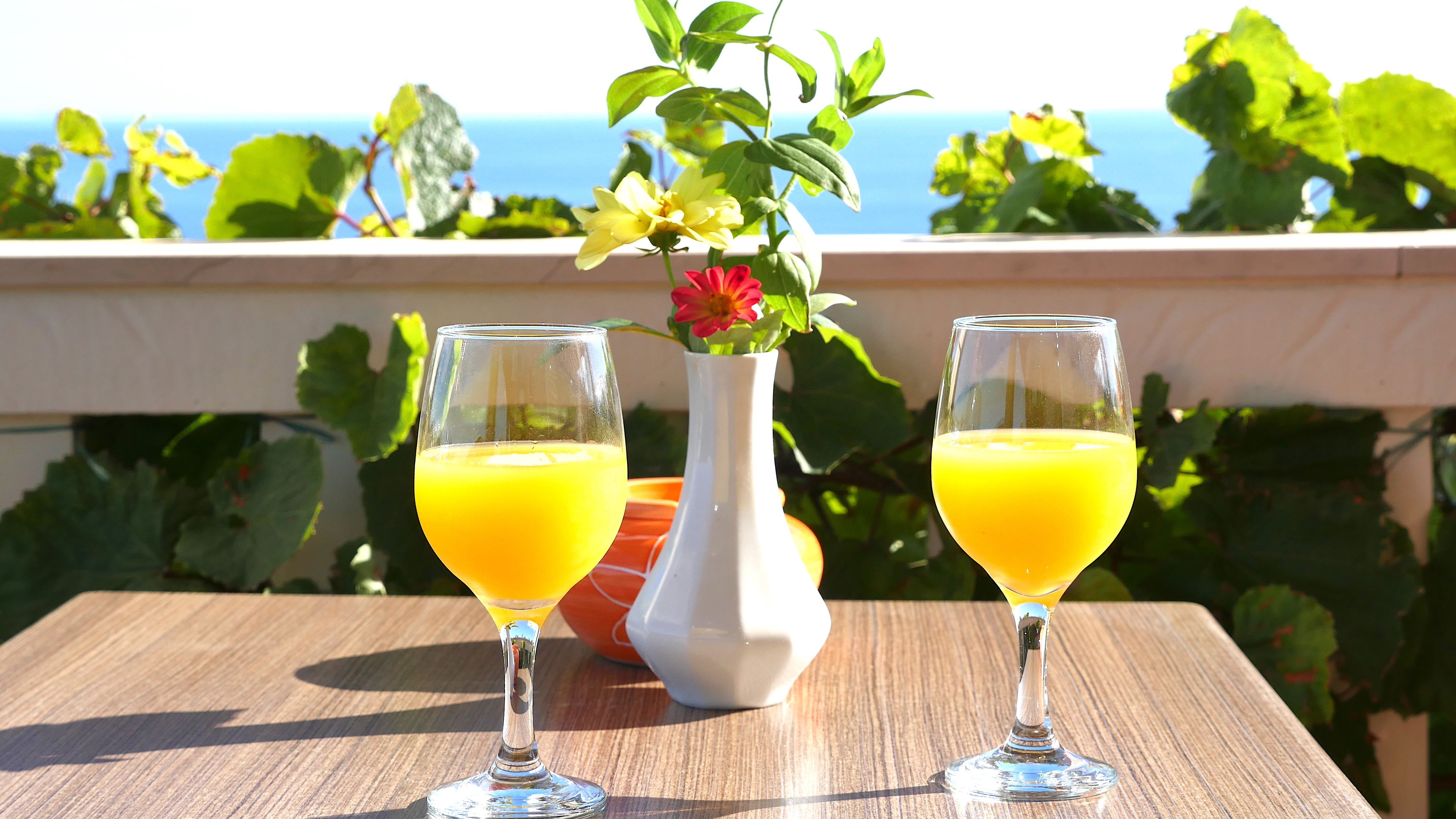 One bedroom apartment with terrace and sea view Rukavac, Vis  A-b