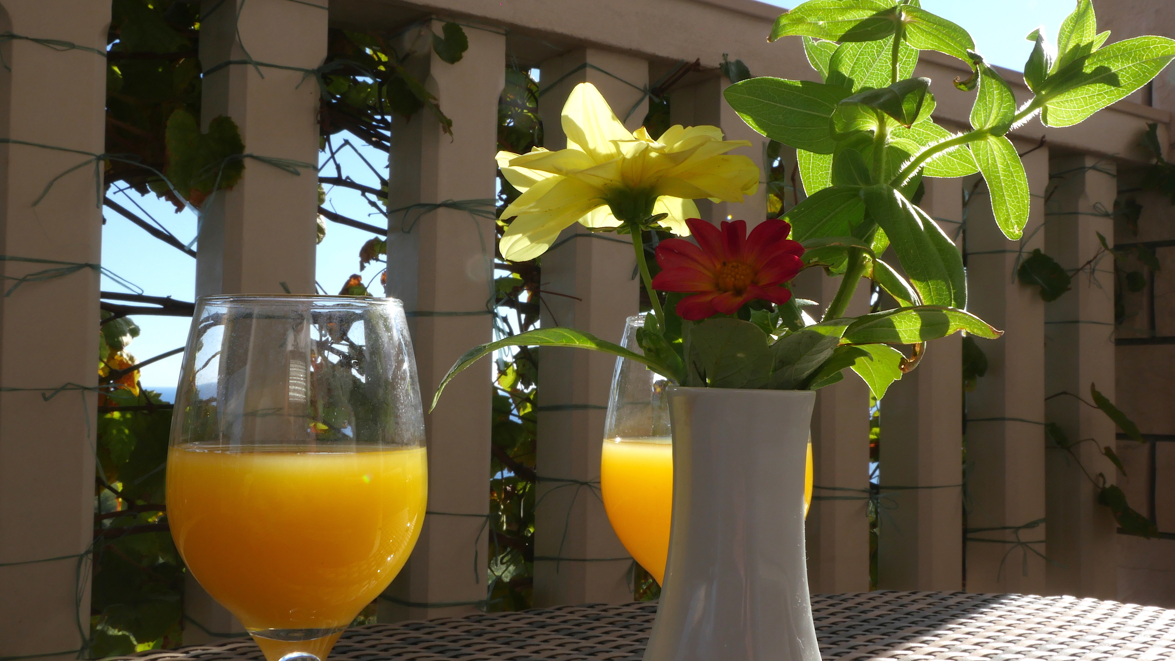 Two bedroom apartment with terrace and sea view Rukavac, Vis  A-c