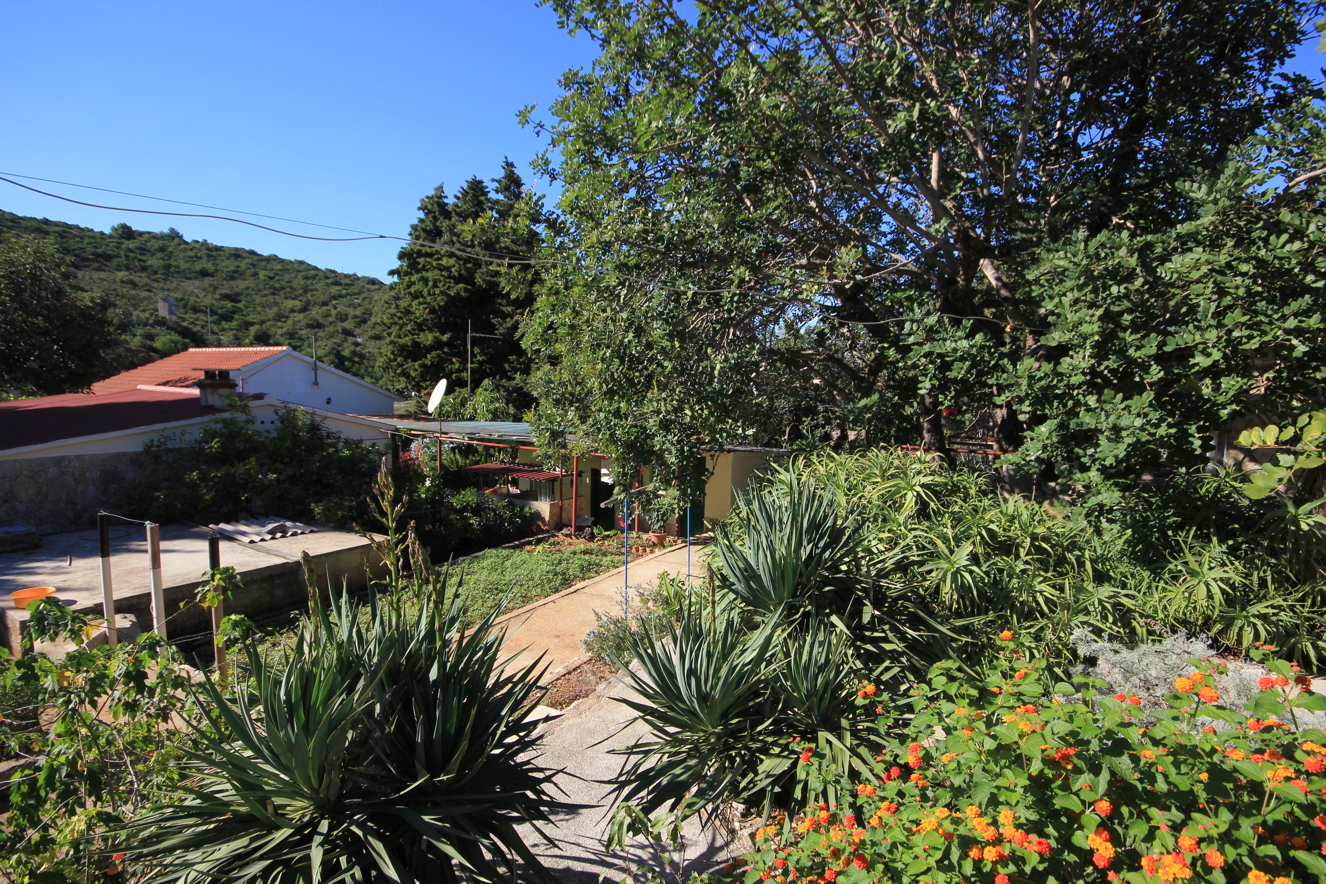 One bedroom house with terrace Cove Rogačić, Vis  K