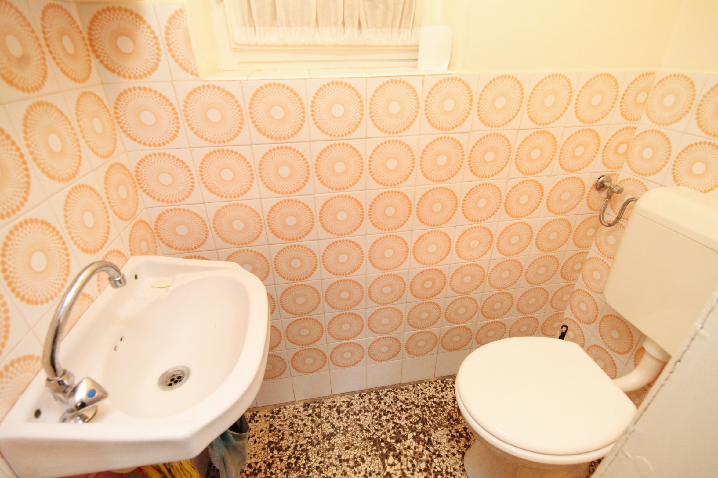 Top Vis Stončica Top Vis Stončica