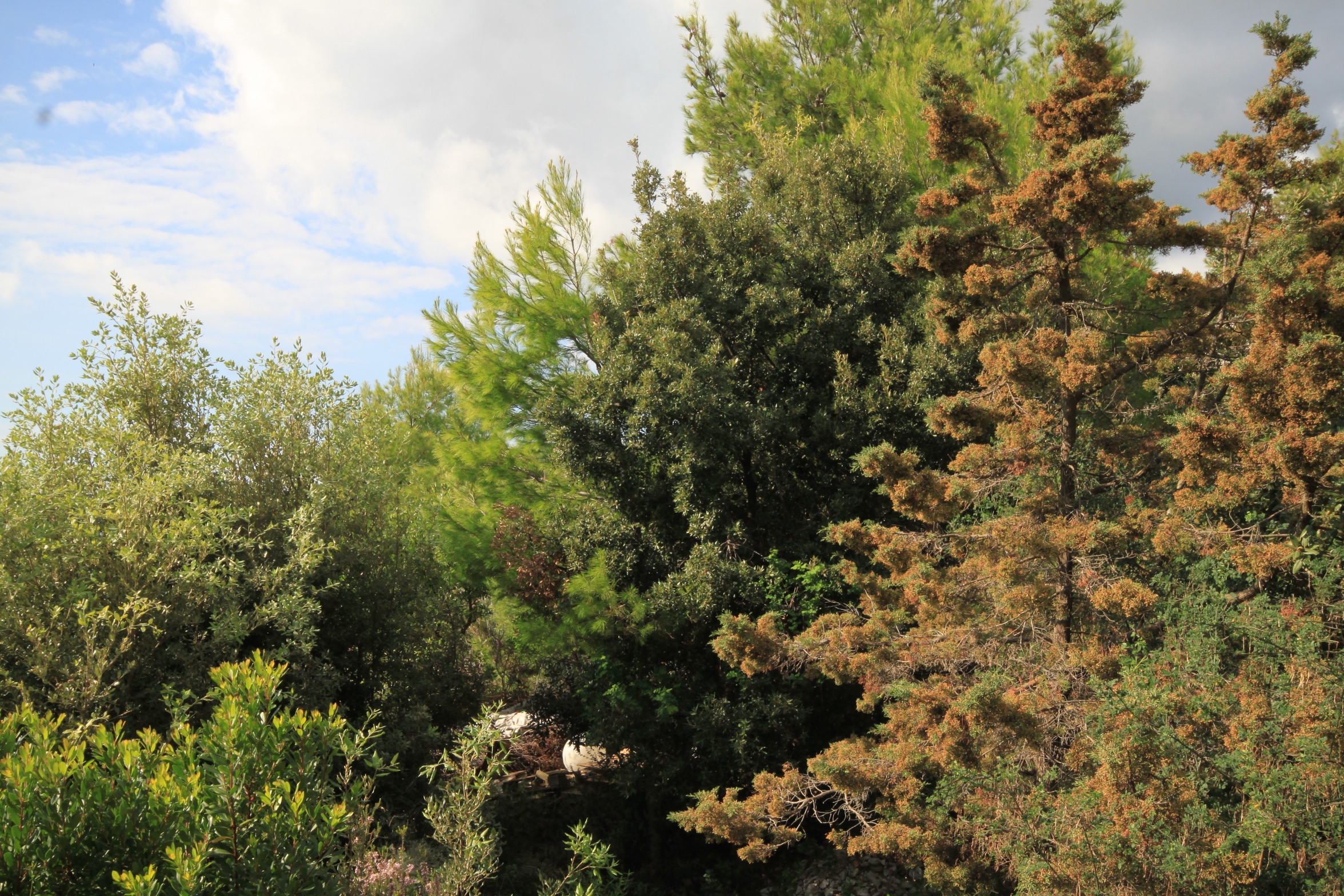 Two bedroom apartment with terrace and sea view Milna, Vis  A-b