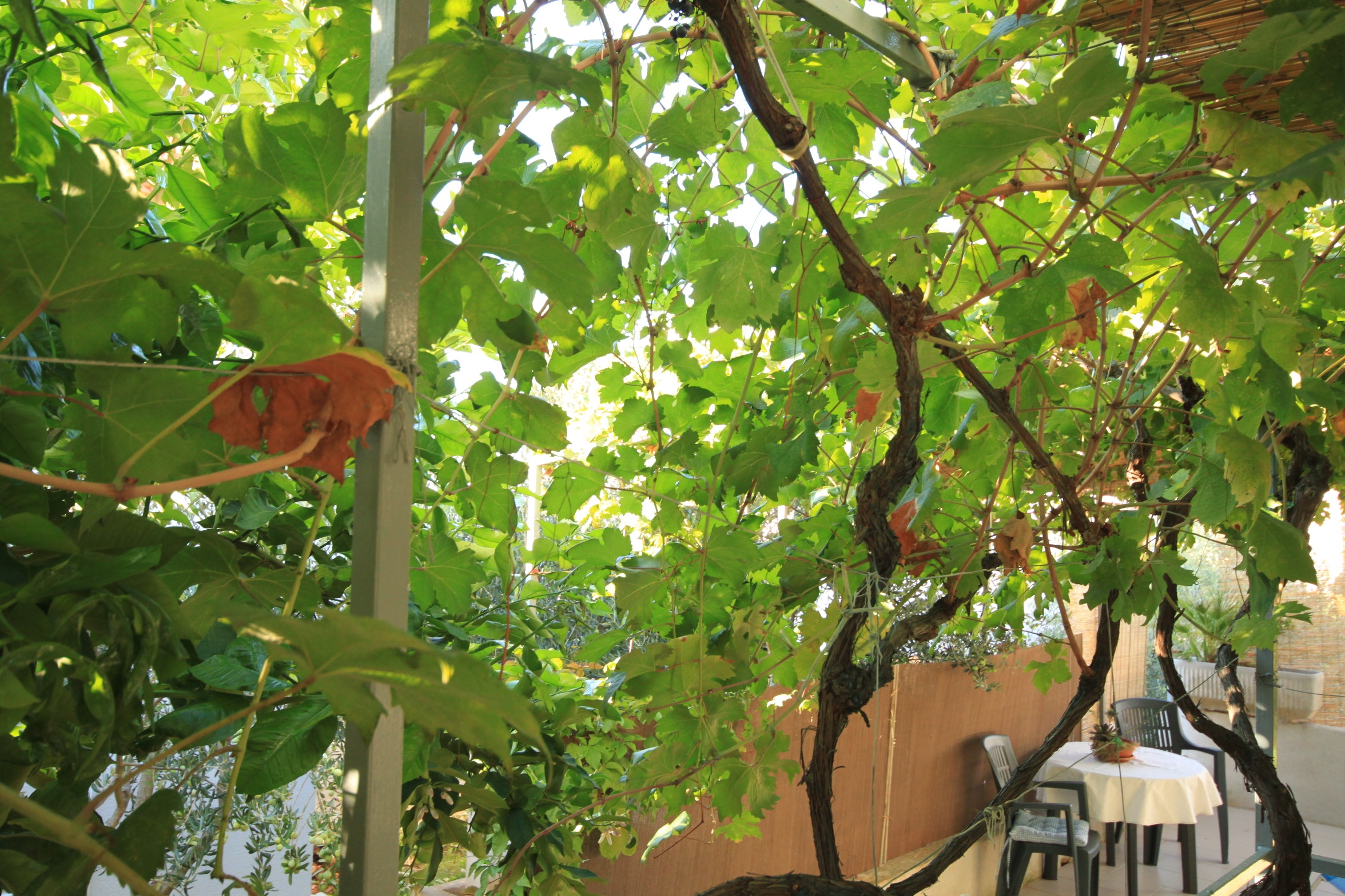 One bedroom apartment with terrace Rukavac, Vis  A-b