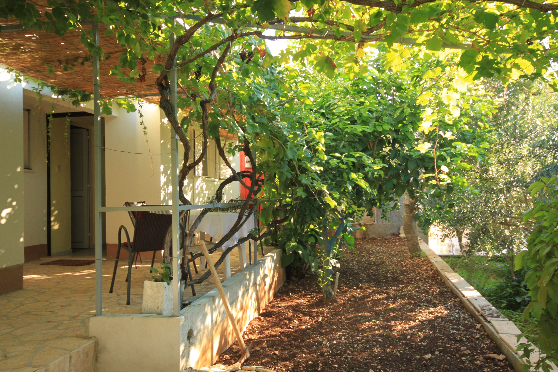 One bedroom apartment with terrace Rukavac, Vis (A-8897-b)