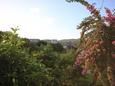 Terrace 1 - view Vis, Terrace 1 - view in the apartment, dopusteni kucni ljubimci i WIFI.