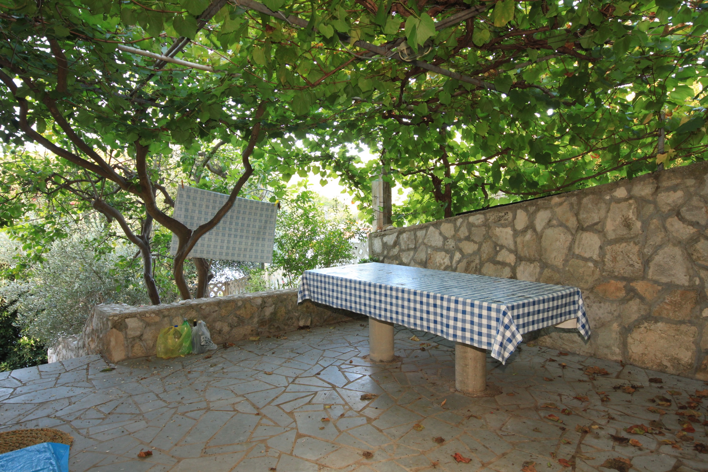 Three bedroom apartment near beach Milna, Vis  A-a