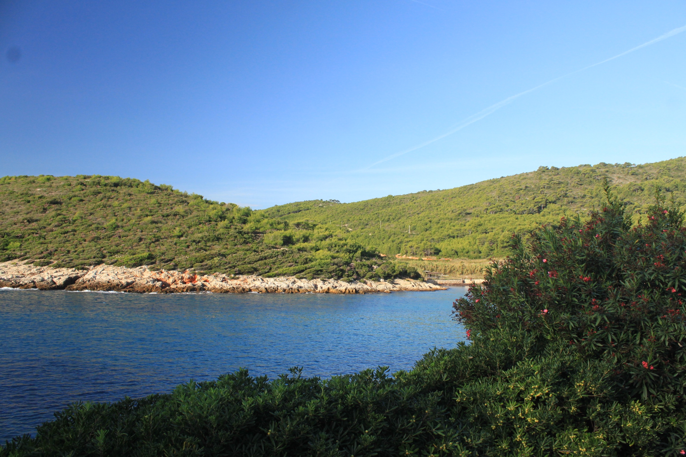 Three bedroom apartment near beach Milna, Vis  A-a