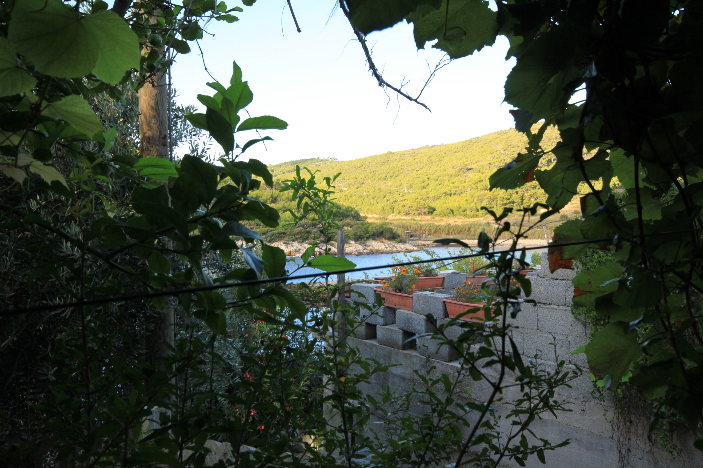 Three bedroom apartment near beach Milna, Vis  A-a