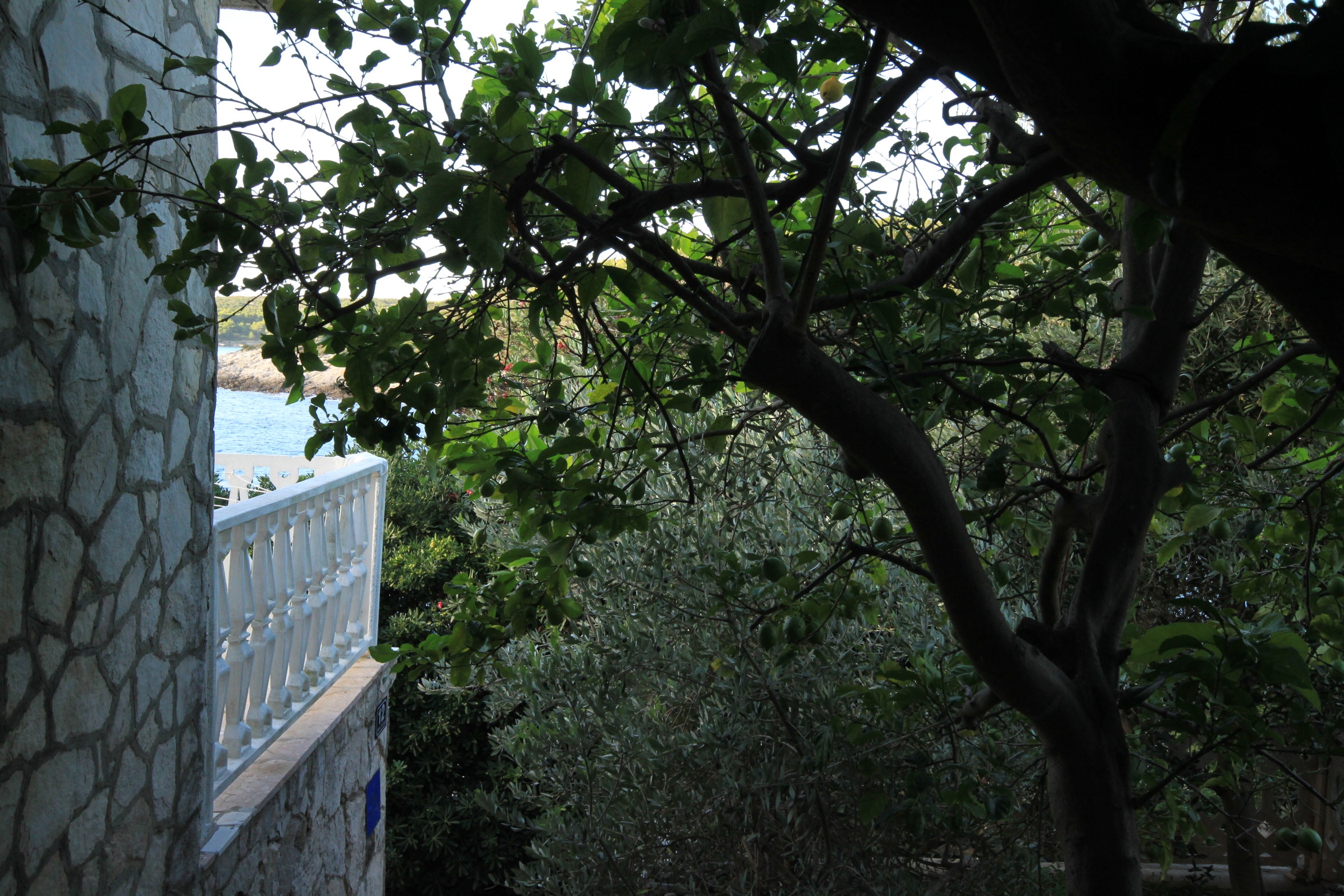 Three bedroom apartment near beach Milna, Vis  A-a