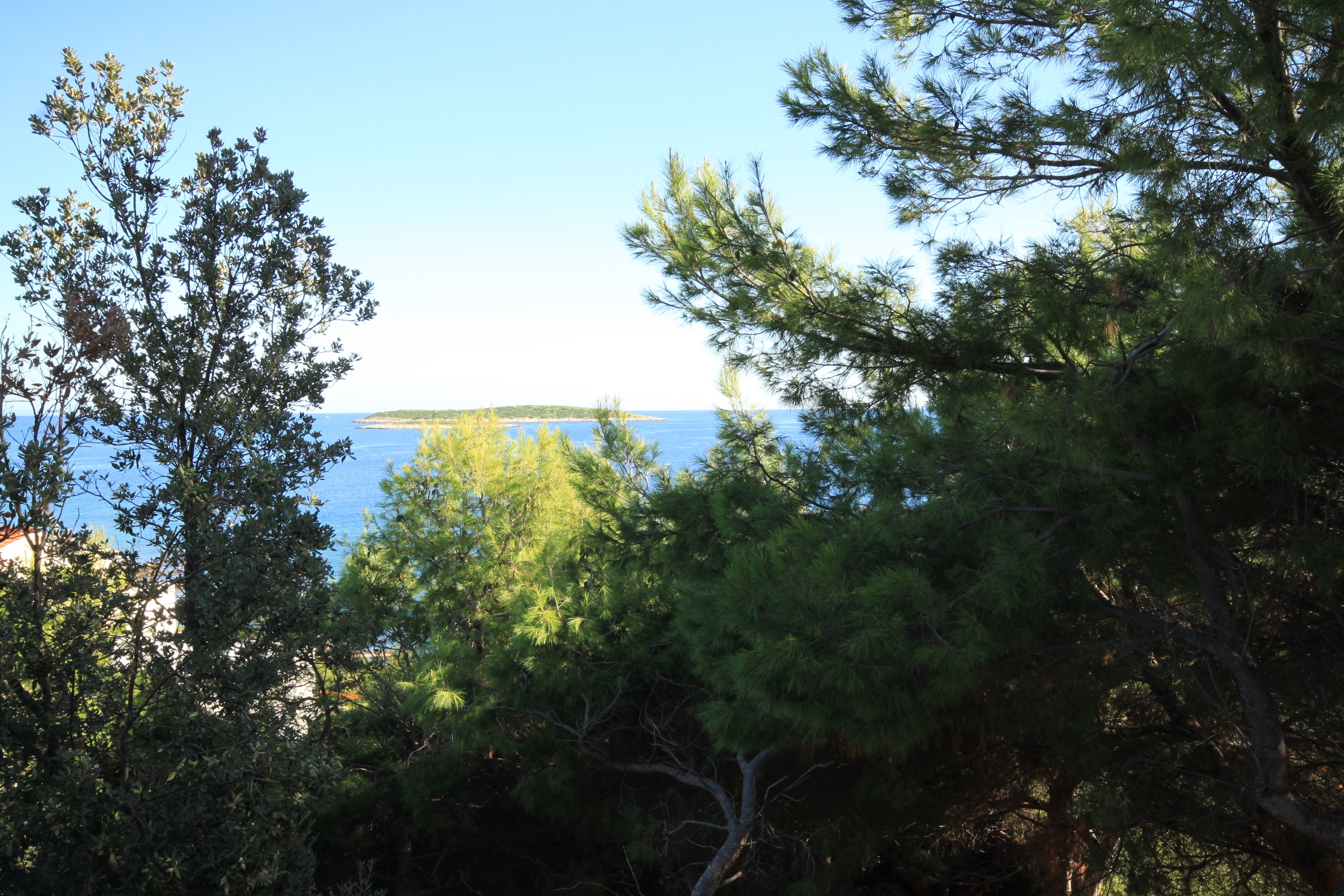 Two bedroom apartment near beach Milna, Vis  A-a