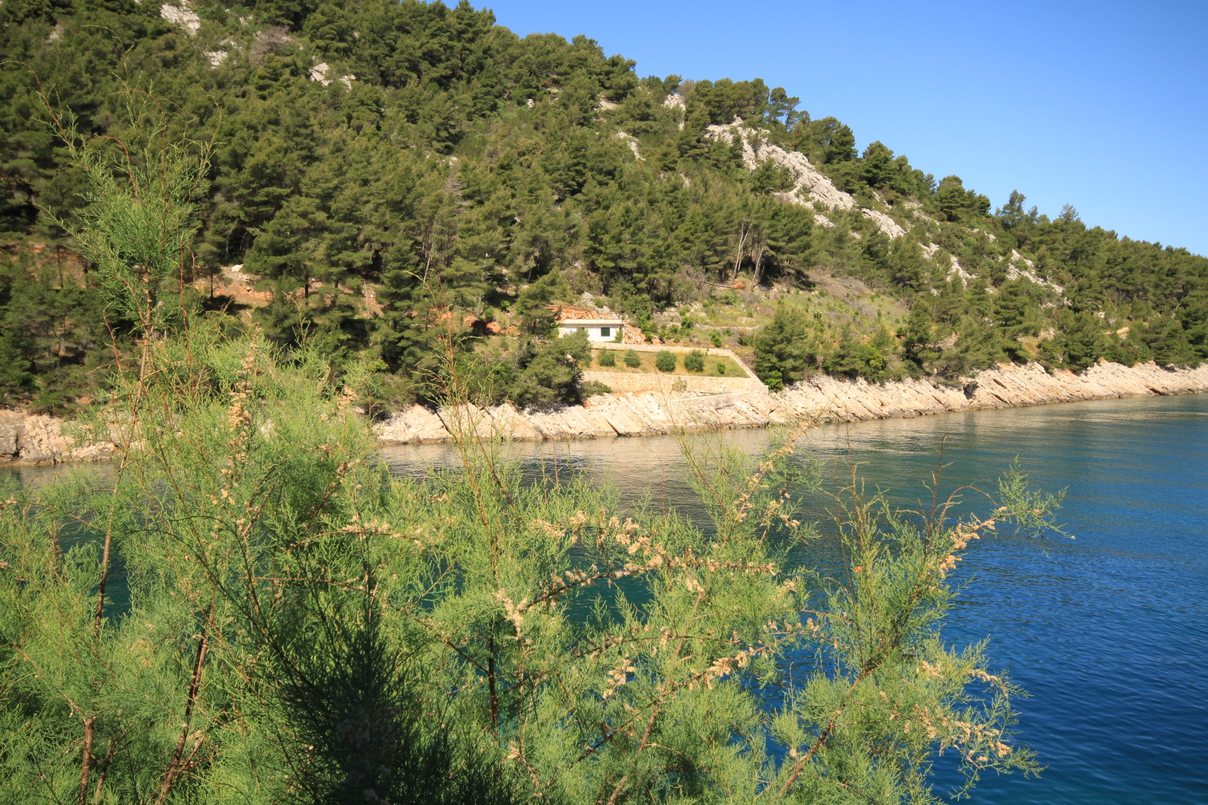 Studio flat near beach Cove Mala Pogorila, Hvar  AS-d