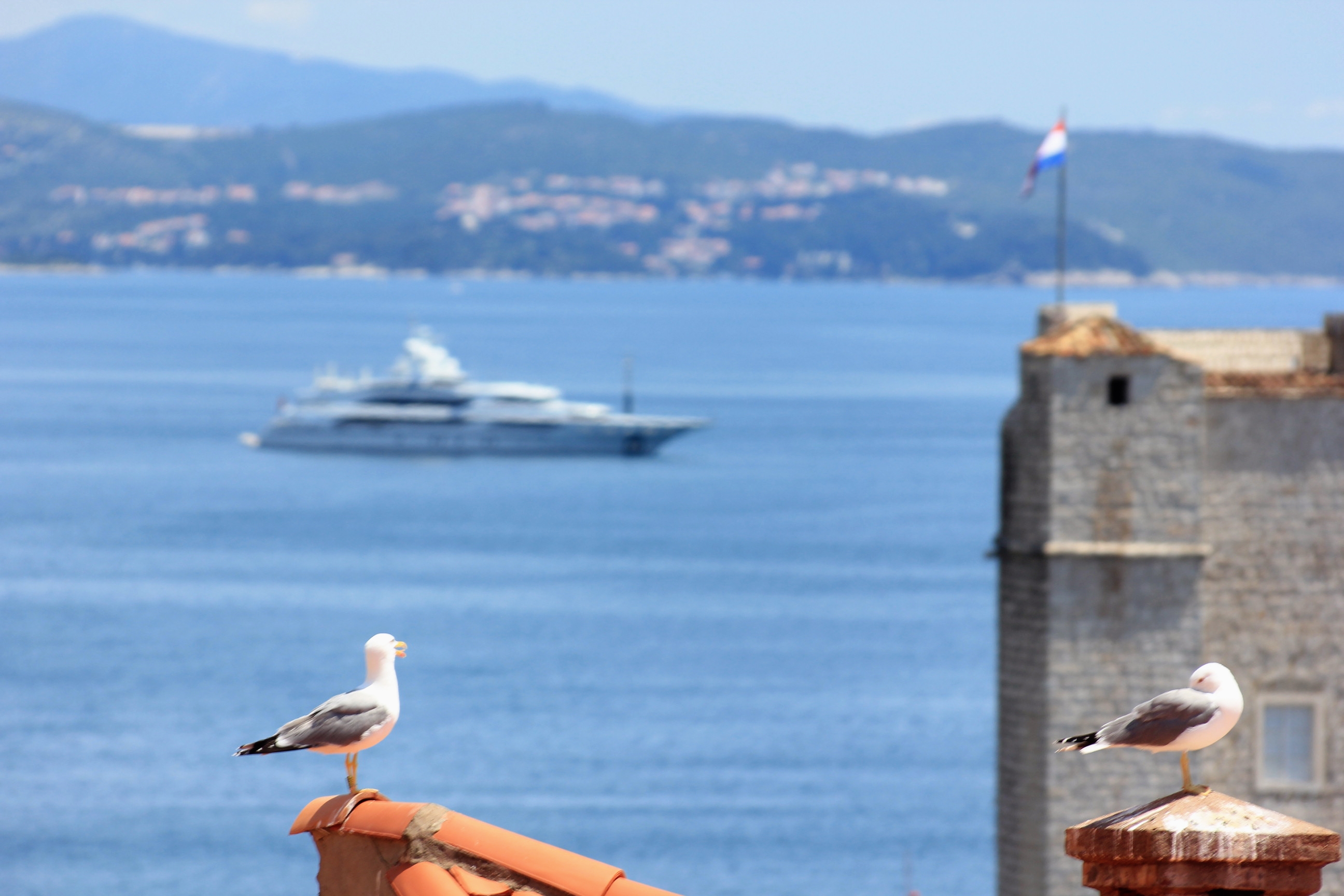 Three bedroom apartment with terrace and sea view Dubrovnik  A-a