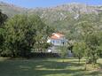 Mlini, Dubrovnik, Property 8970 - Apartments with pebble beach.