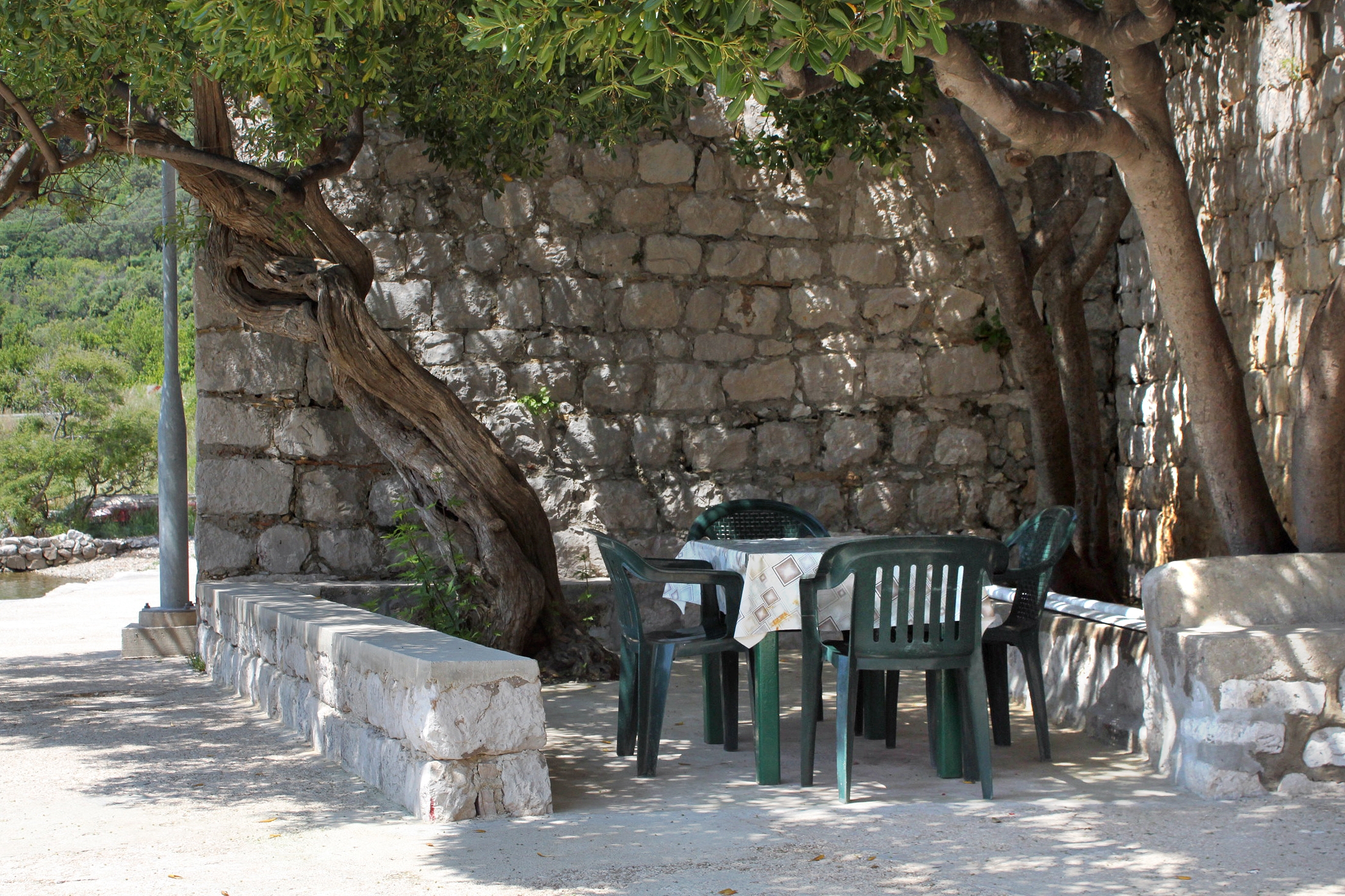 Room near beach Zaton Mali, Dubrovnik (S-8997-d)