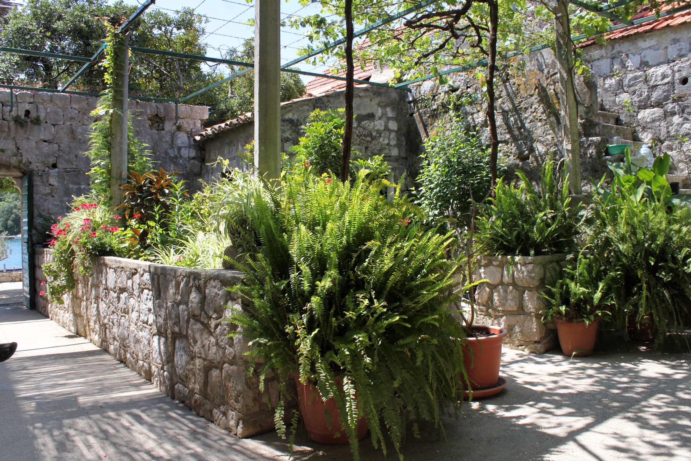 Room near beach Zaton Mali, Dubrovnik (S-8997-a) Room near beach Zaton Mali, Dubrovnik (S-8997-a)