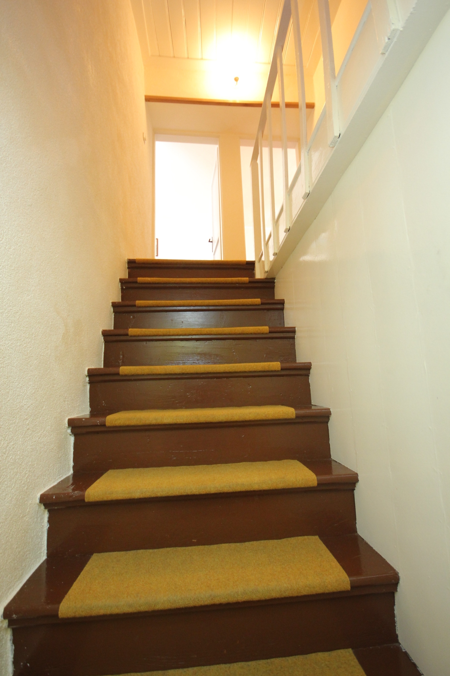 Three bedroom apartment with terrace Trsteno, Dubrovnik  A-a