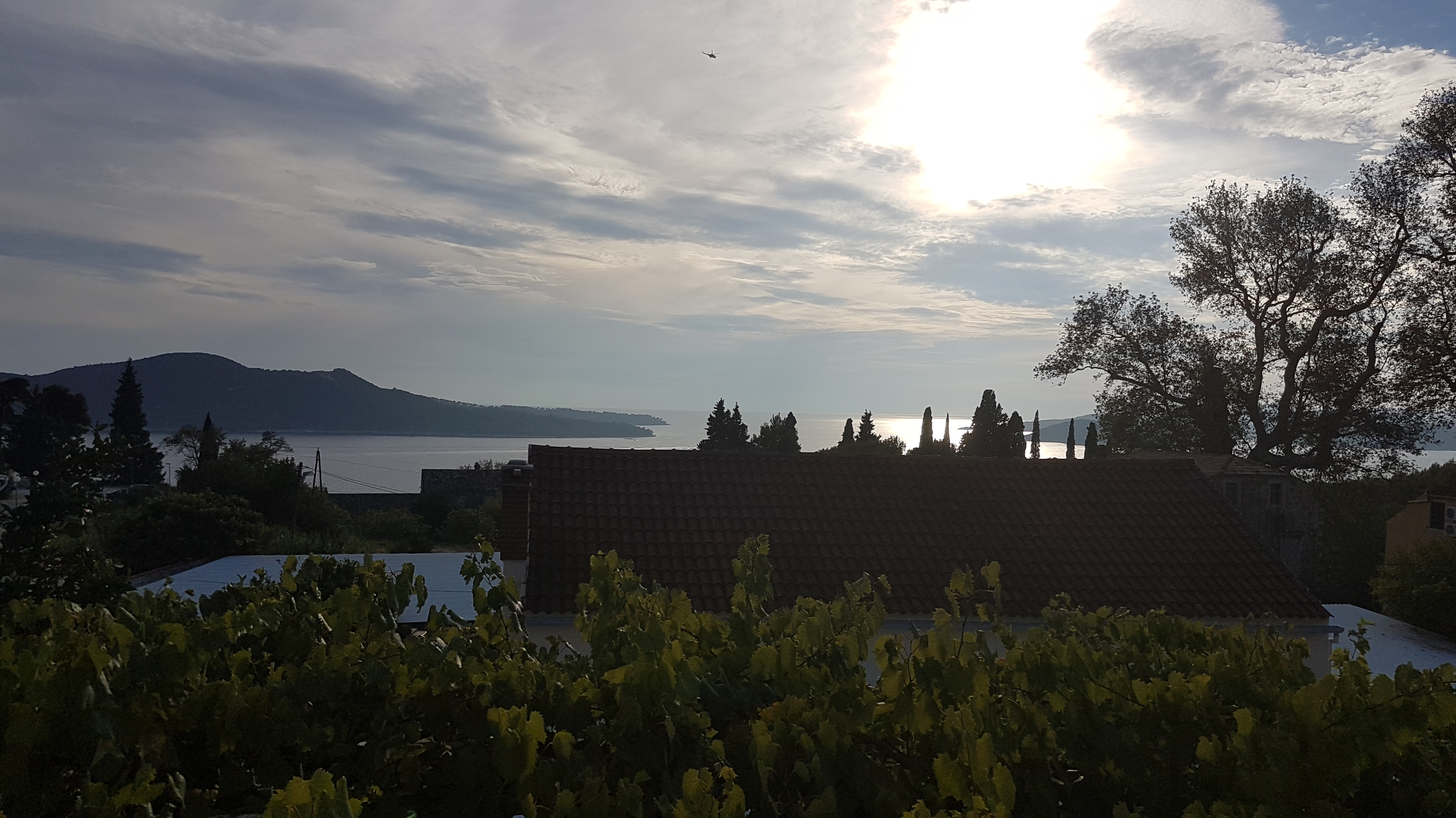 Three bedroom apartment with terrace Trsteno, Dubrovnik  A-a