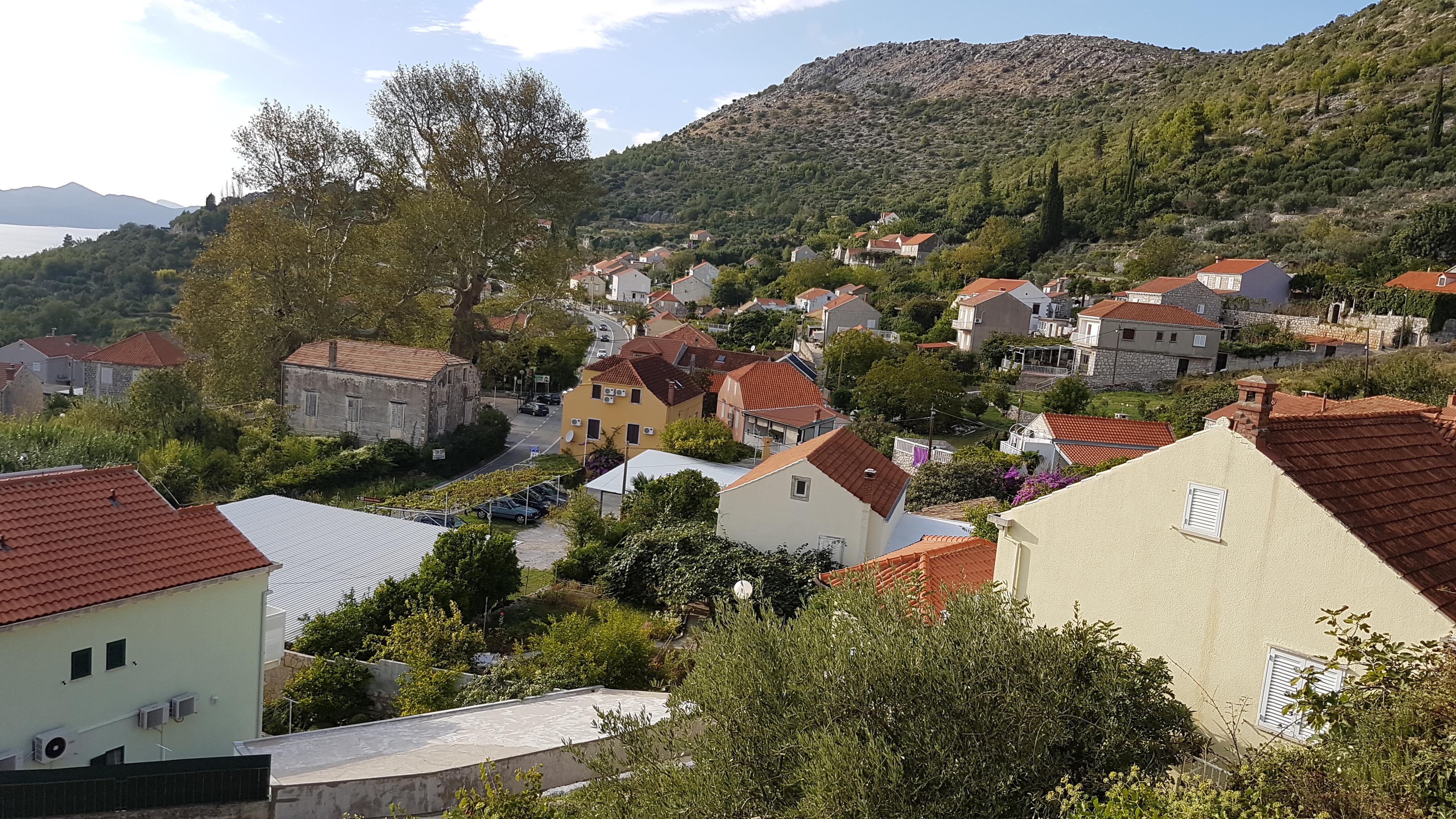 Three bedroom apartment with terrace Trsteno, Dubrovnik  A-a