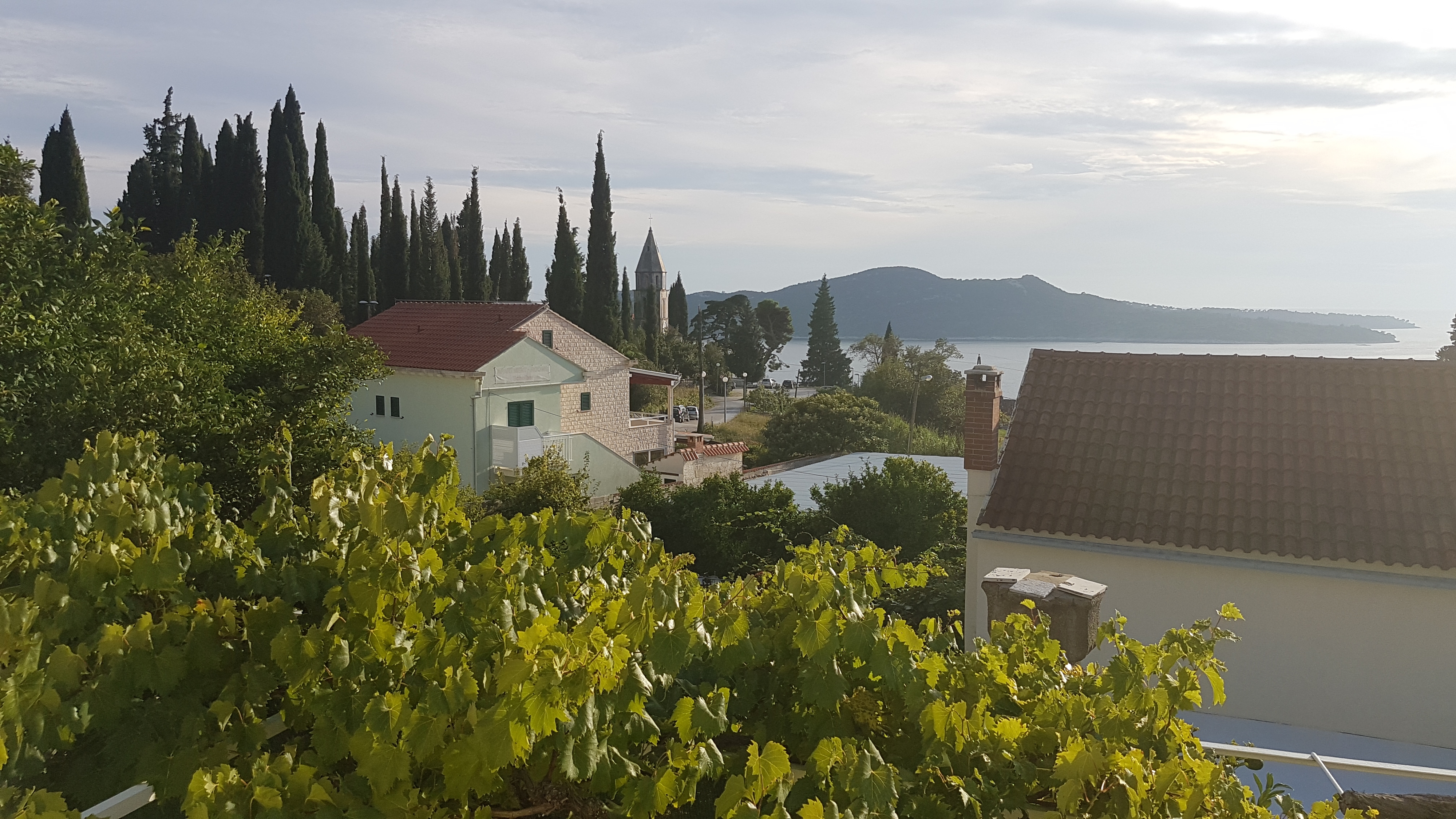 Three bedroom apartment with terrace Trsteno, Dubrovnik  A-a
