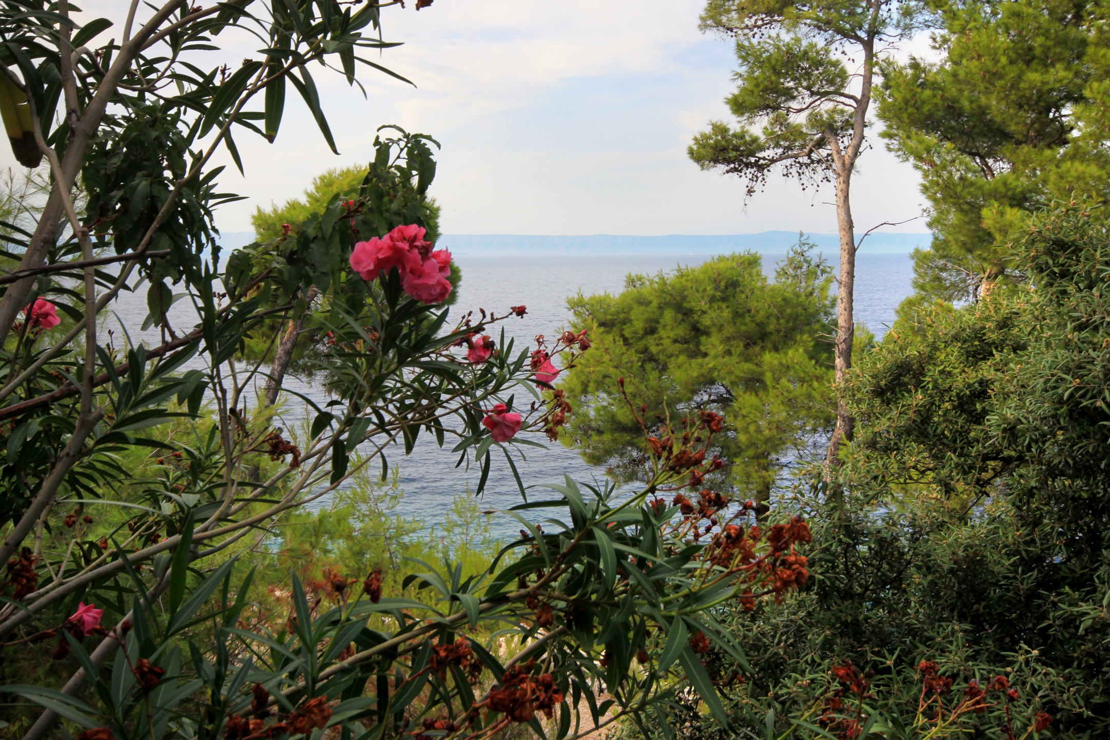 Top Korčula Prigradica Top Korčula Prigradica