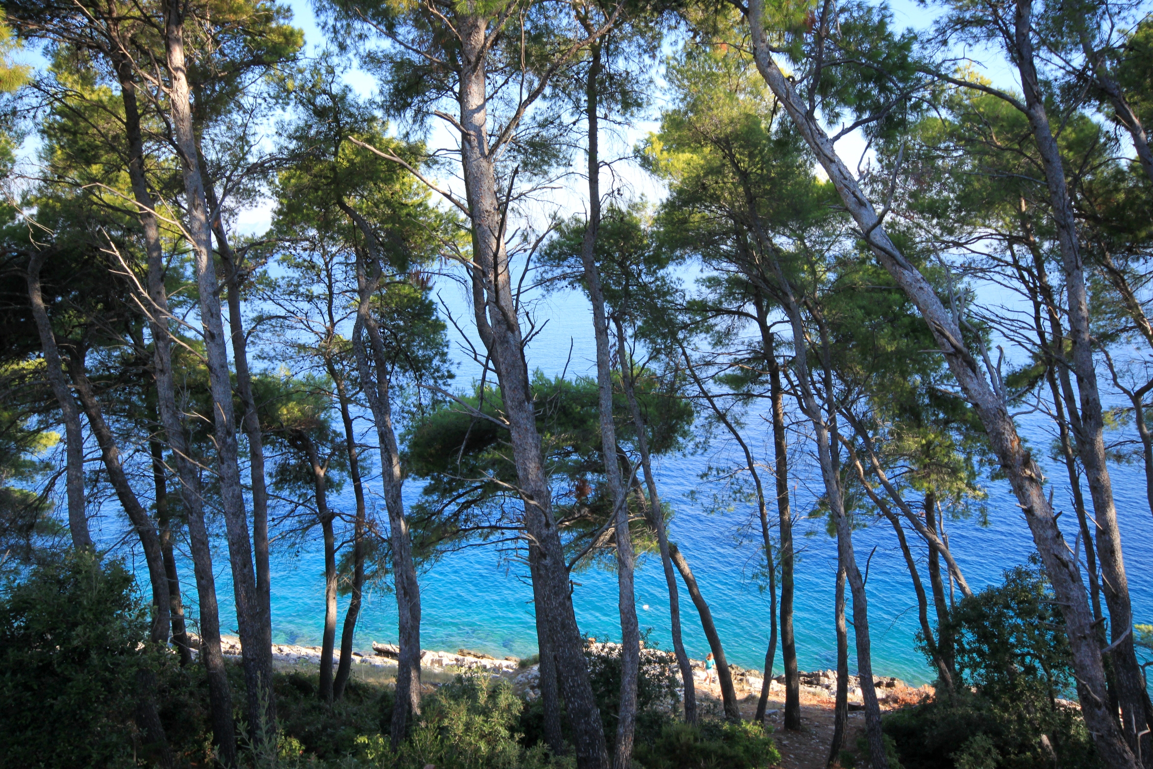 Two bedroom house near beach Cove Spiliška, Korčula  K