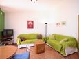 Prižba, Living room in the apartment, (pet friendly) and WiFi.