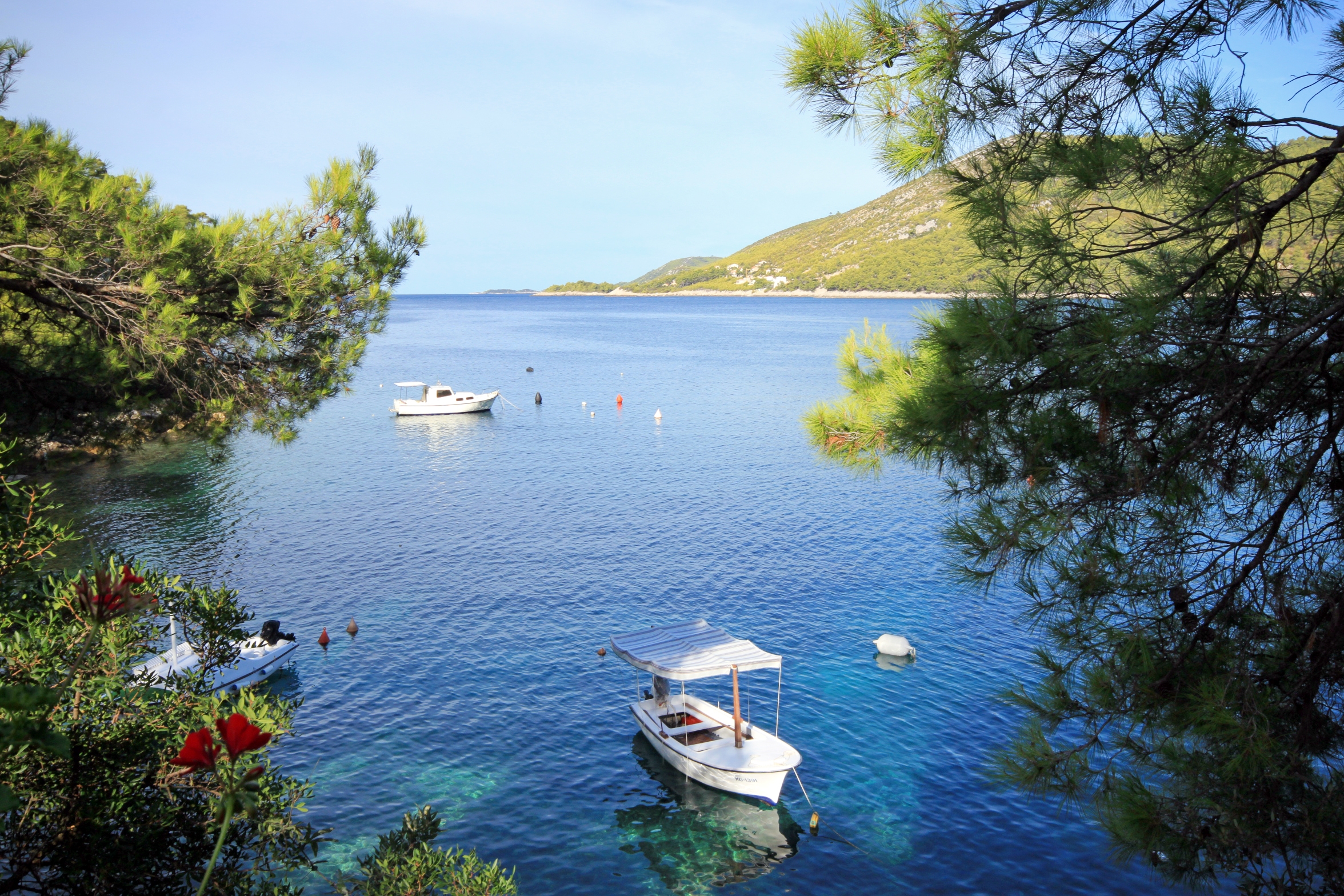 Top Korčula Brna Top Korčula Brna