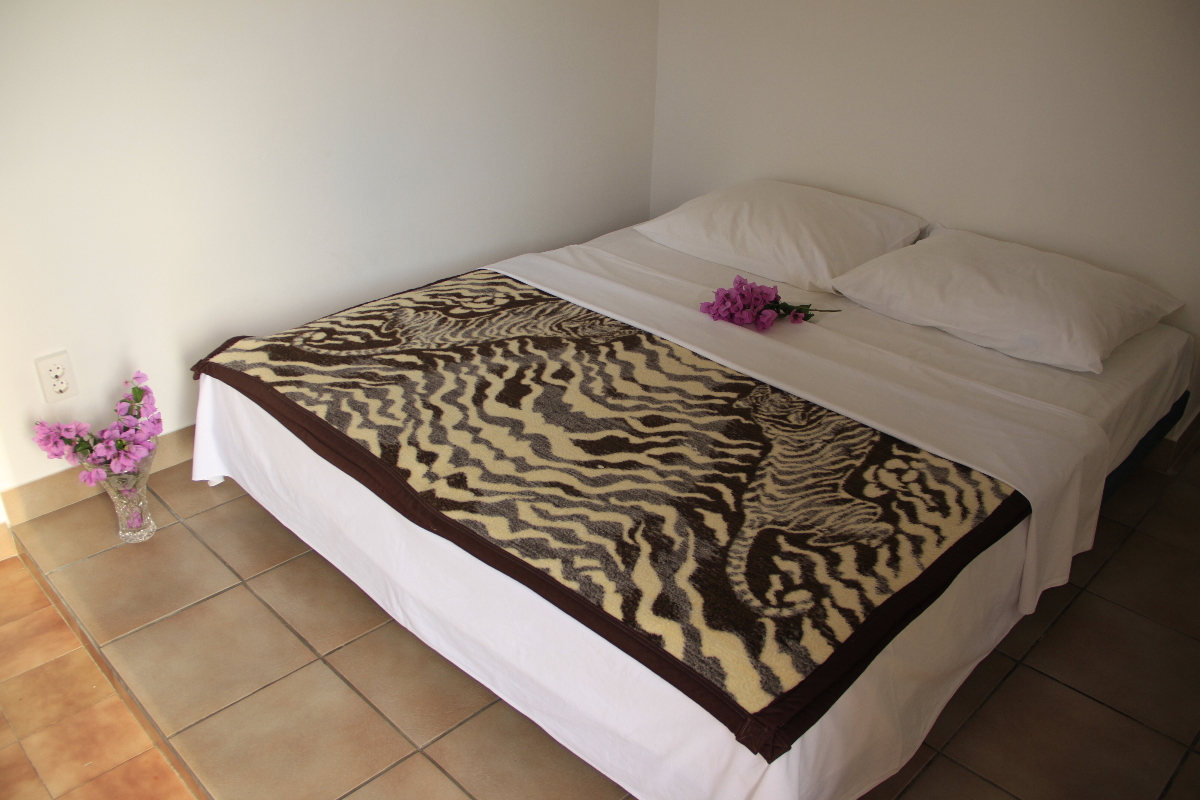 Top Korčula Kneža Top Korčula Kneža