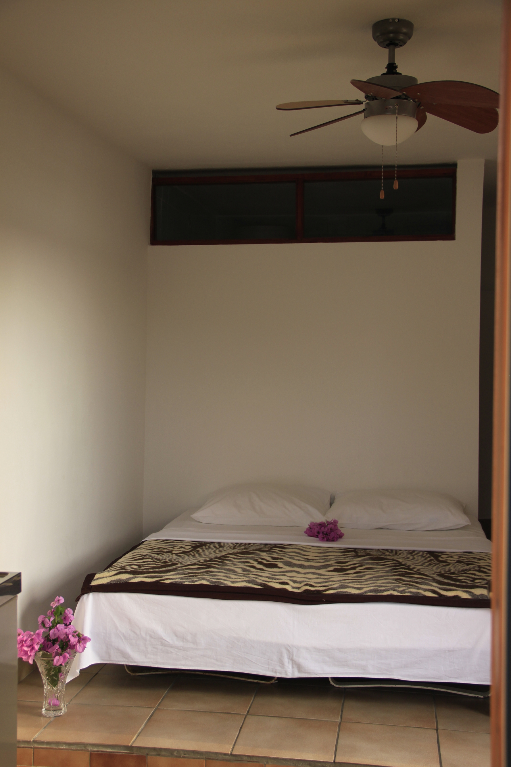 Top Korčula Kneža Top Korčula Kneža